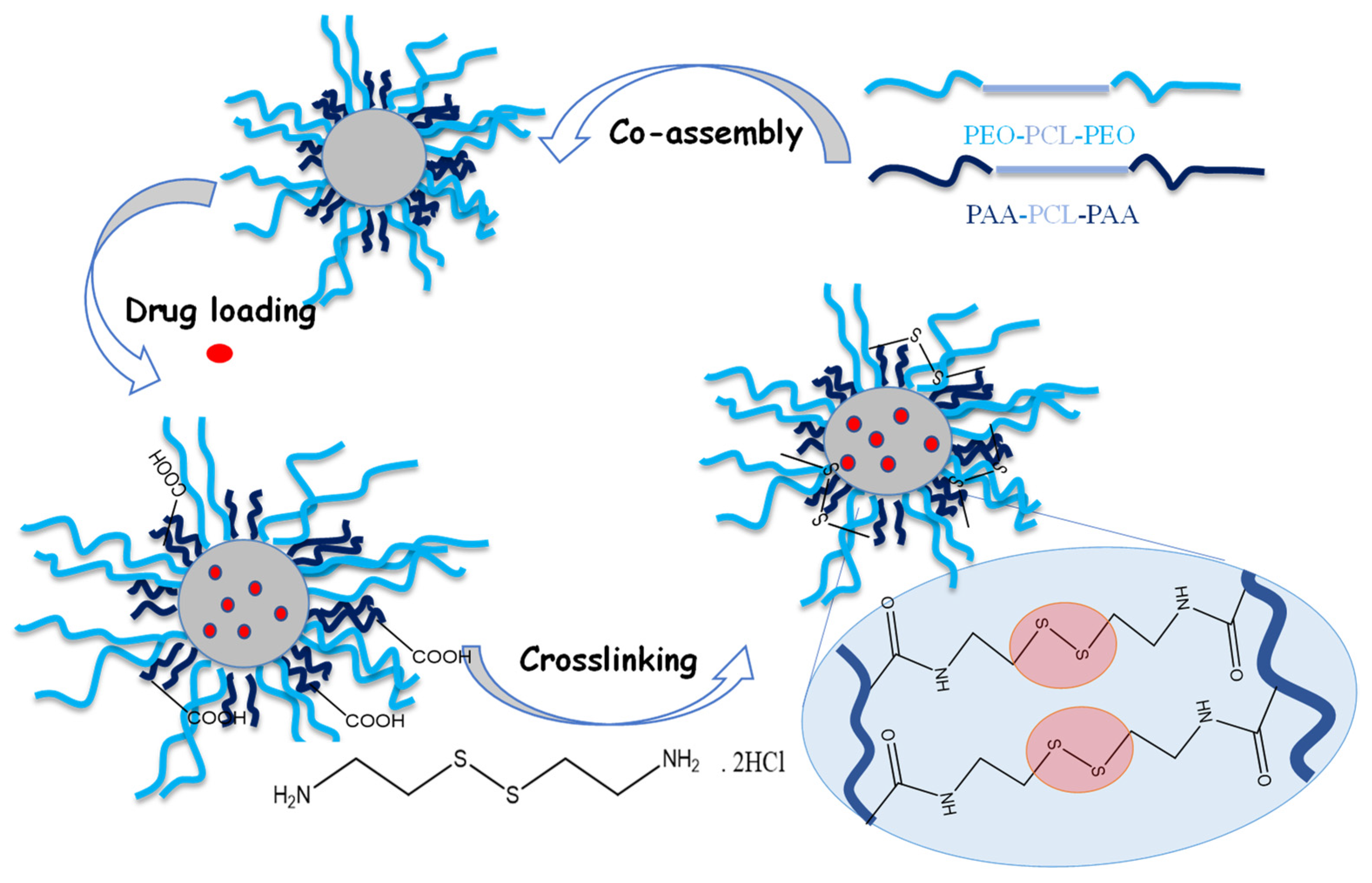 Pharmaceutics 14 00679 g001