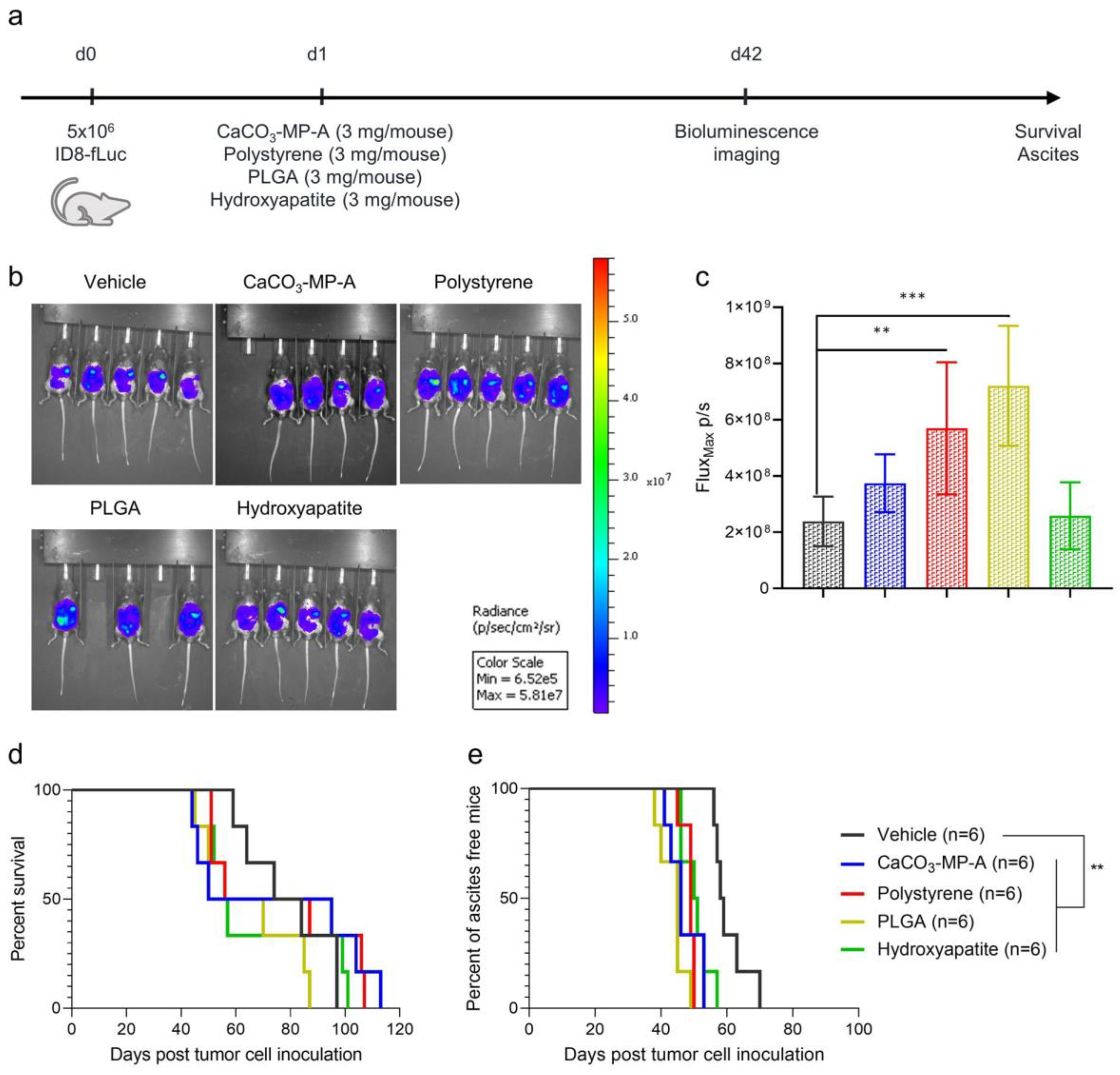 Pharmaceutics 14 00687 g001