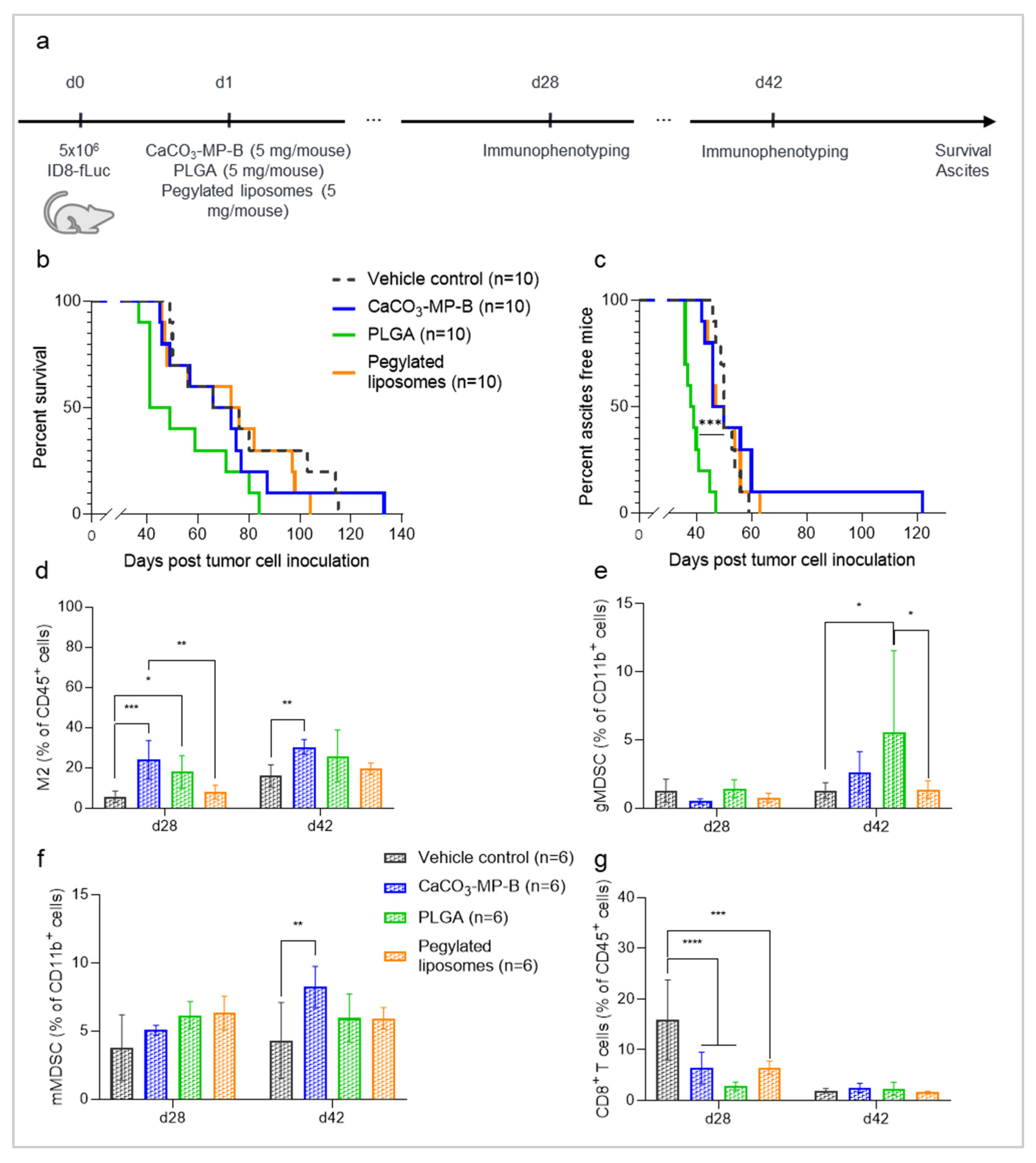 Pharmaceutics 14 00687 g002