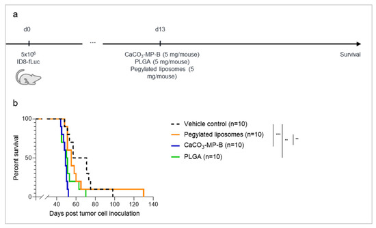 Pharmaceutics 14 00687 g003 550