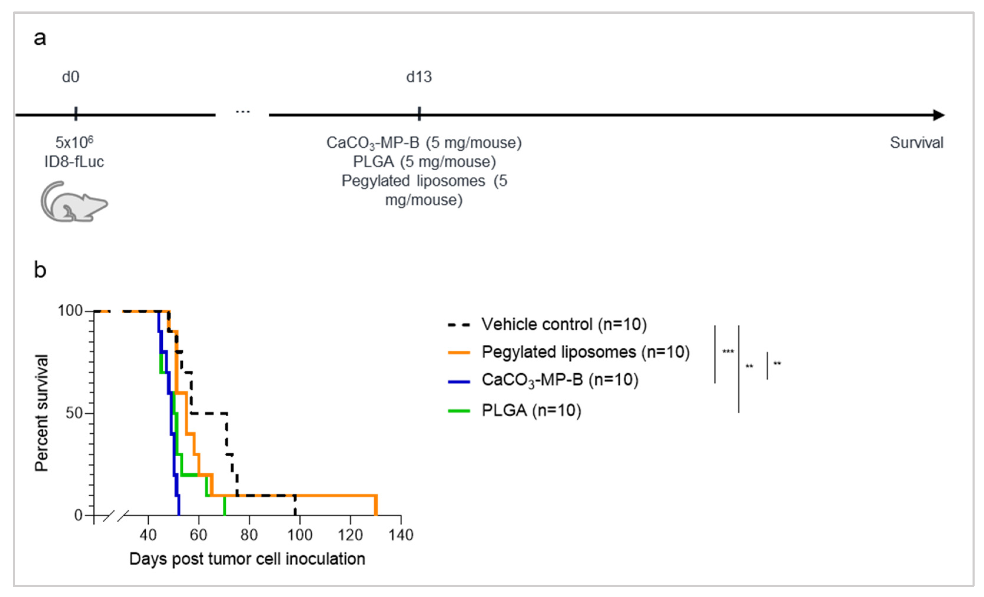 Pharmaceutics 14 00687 g003