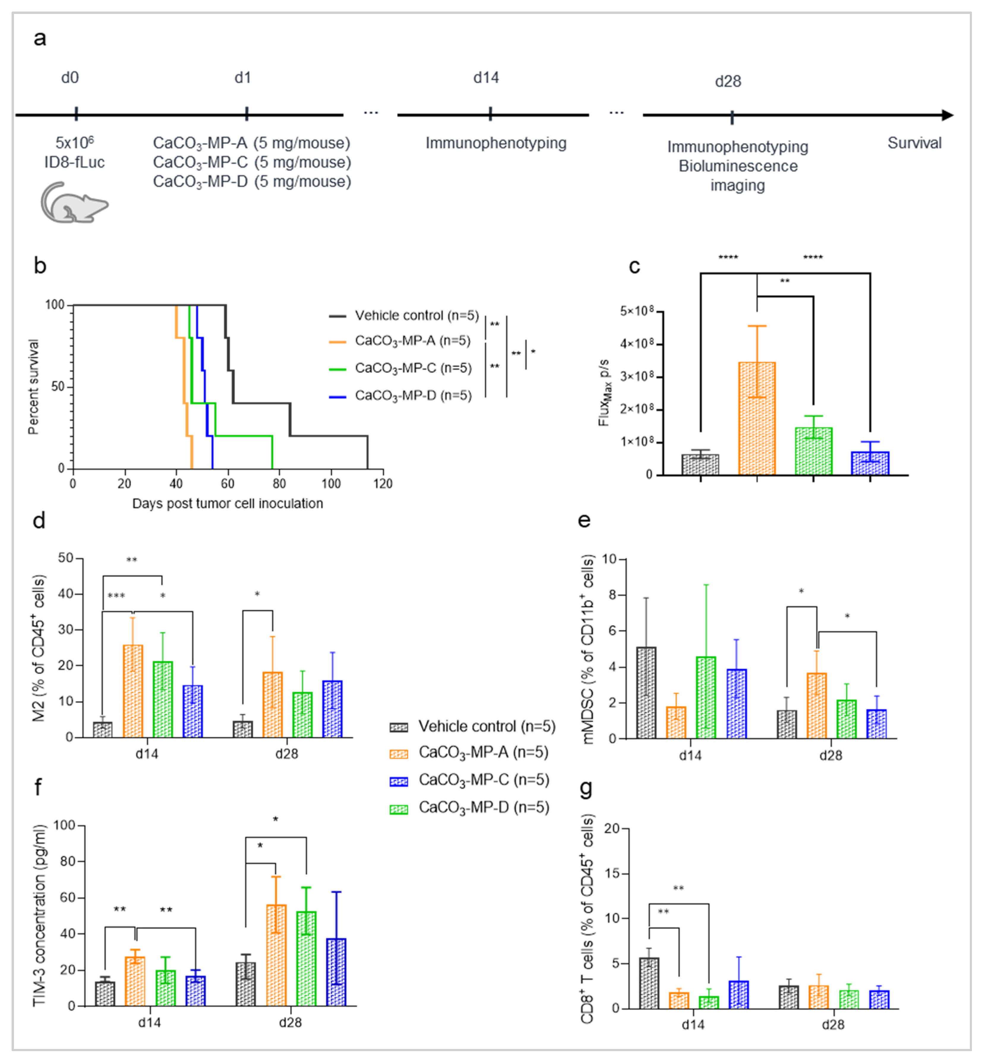 Pharmaceutics 14 00687 g004