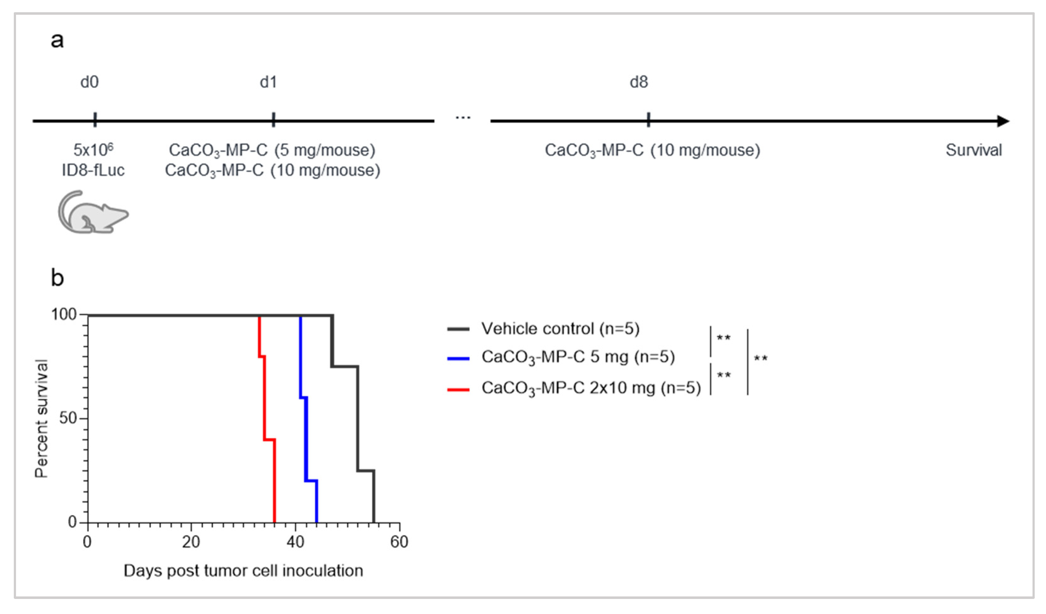Pharmaceutics 14 00687 g005