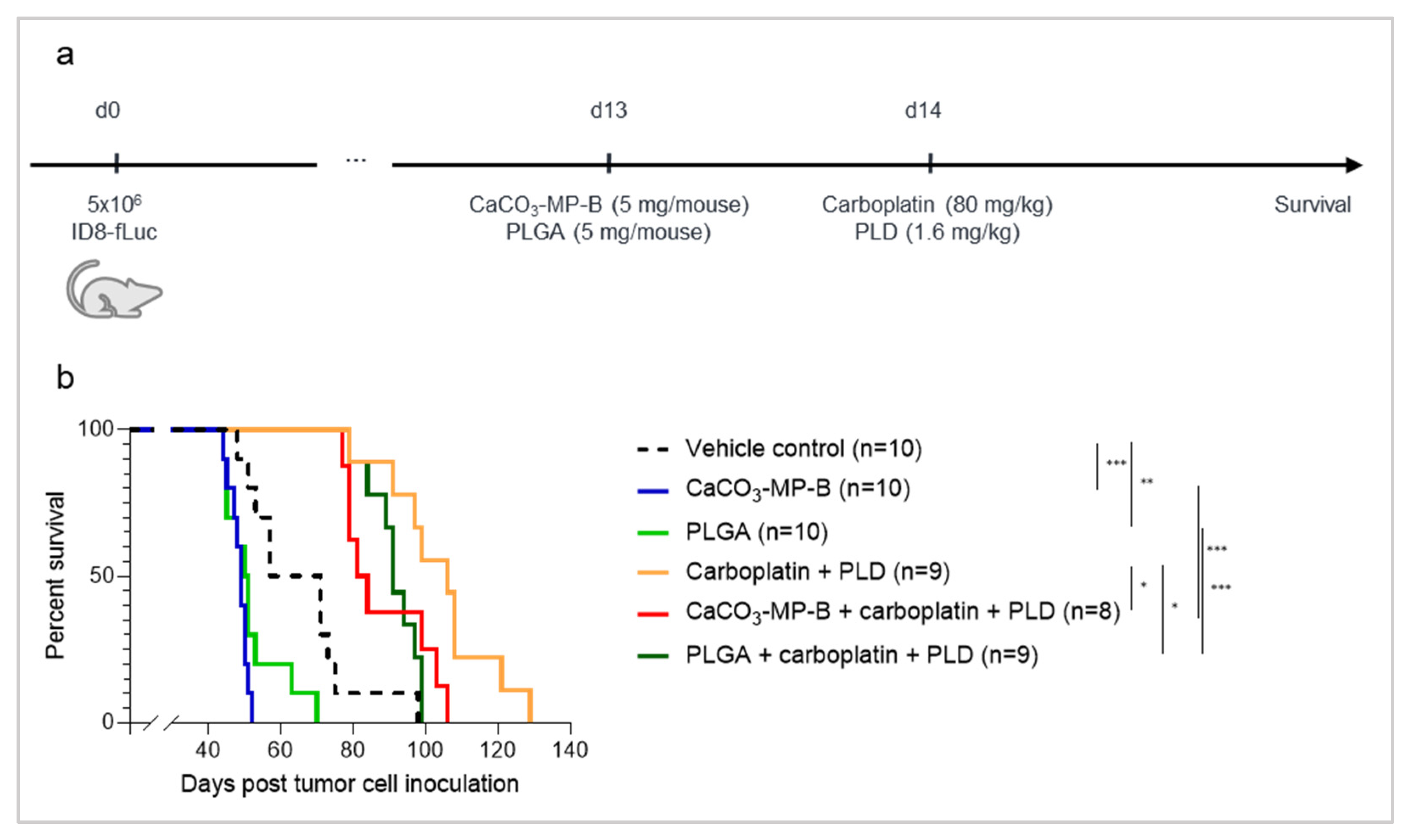 Pharmaceutics 14 00687 g006