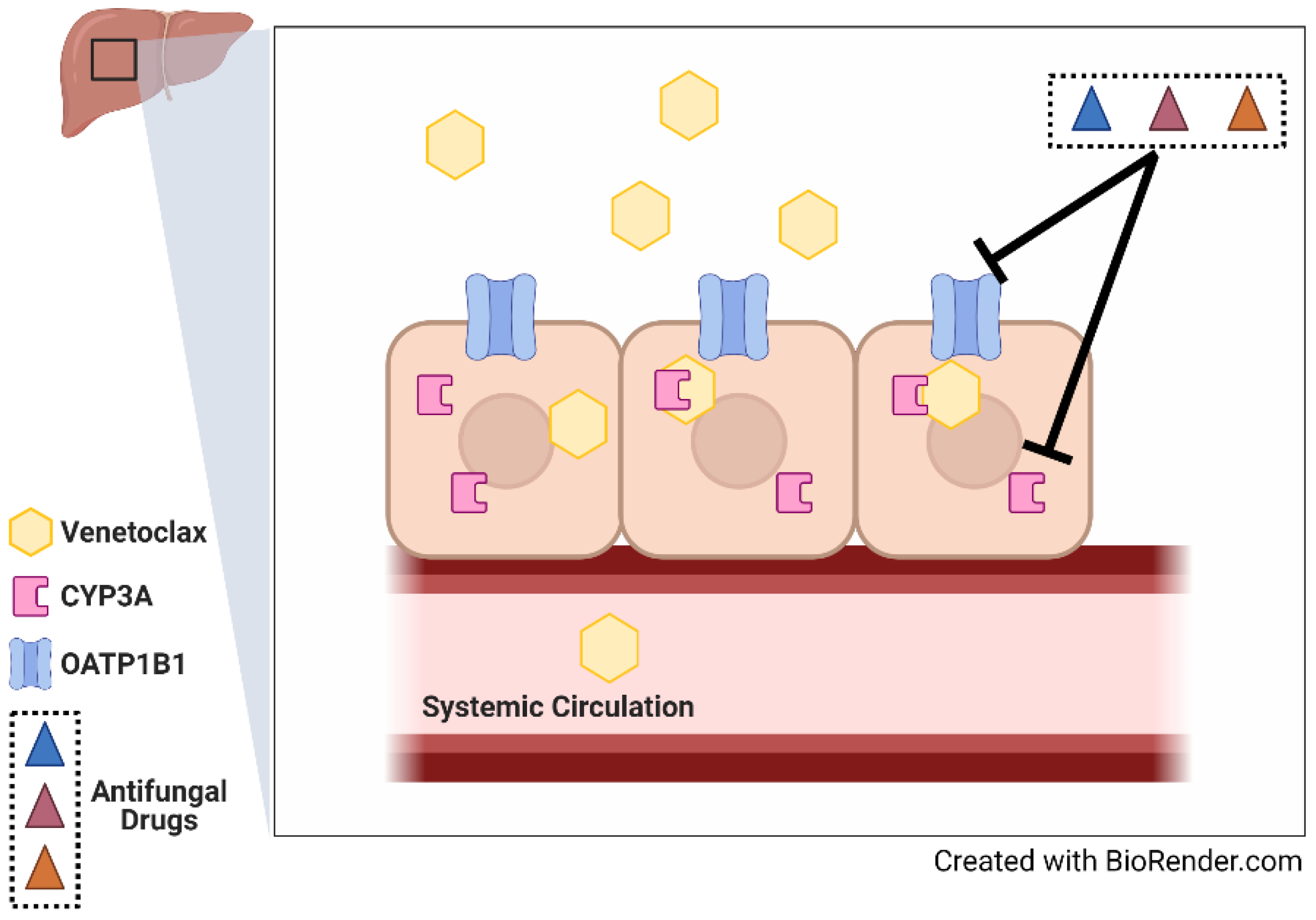 Pharmaceutics 14 00694 g005
