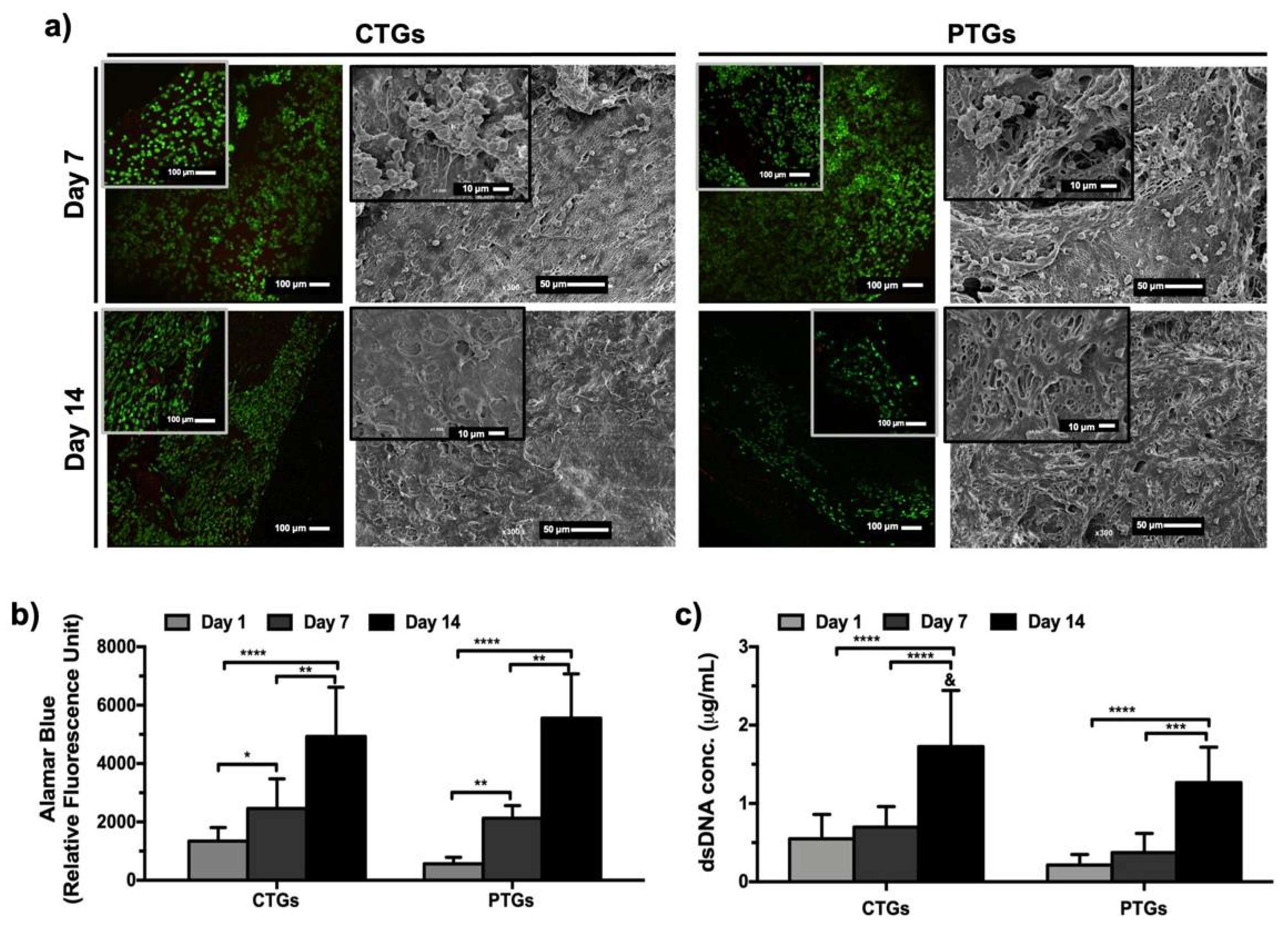 Pharmaceutics 14 00697 g005
