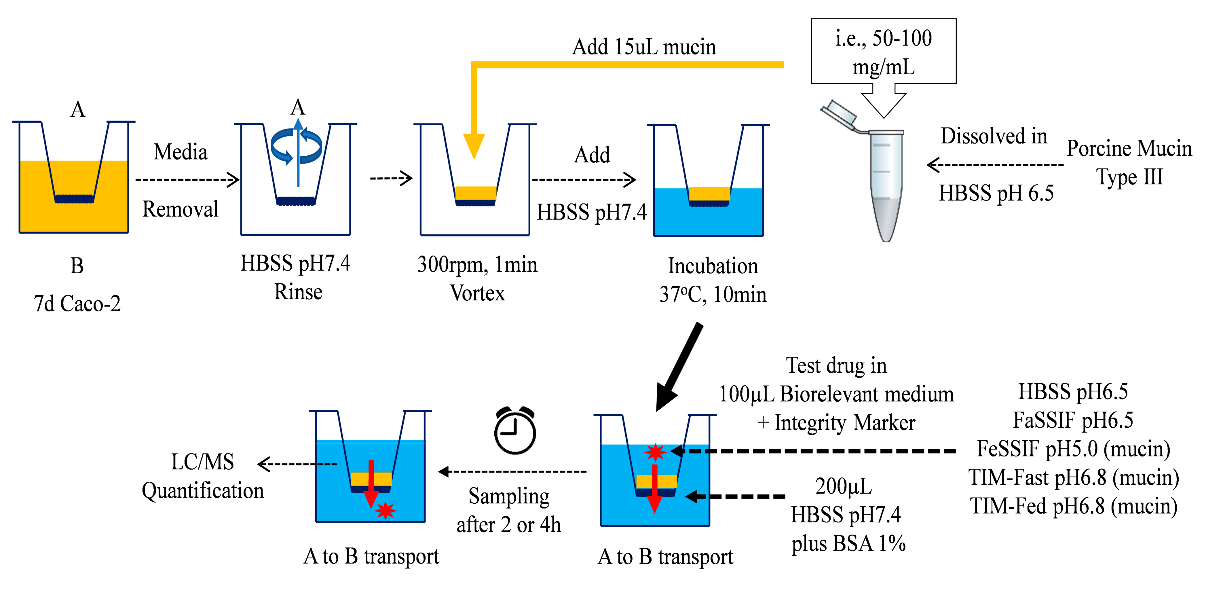 Pharmaceutics 14 00699 g001