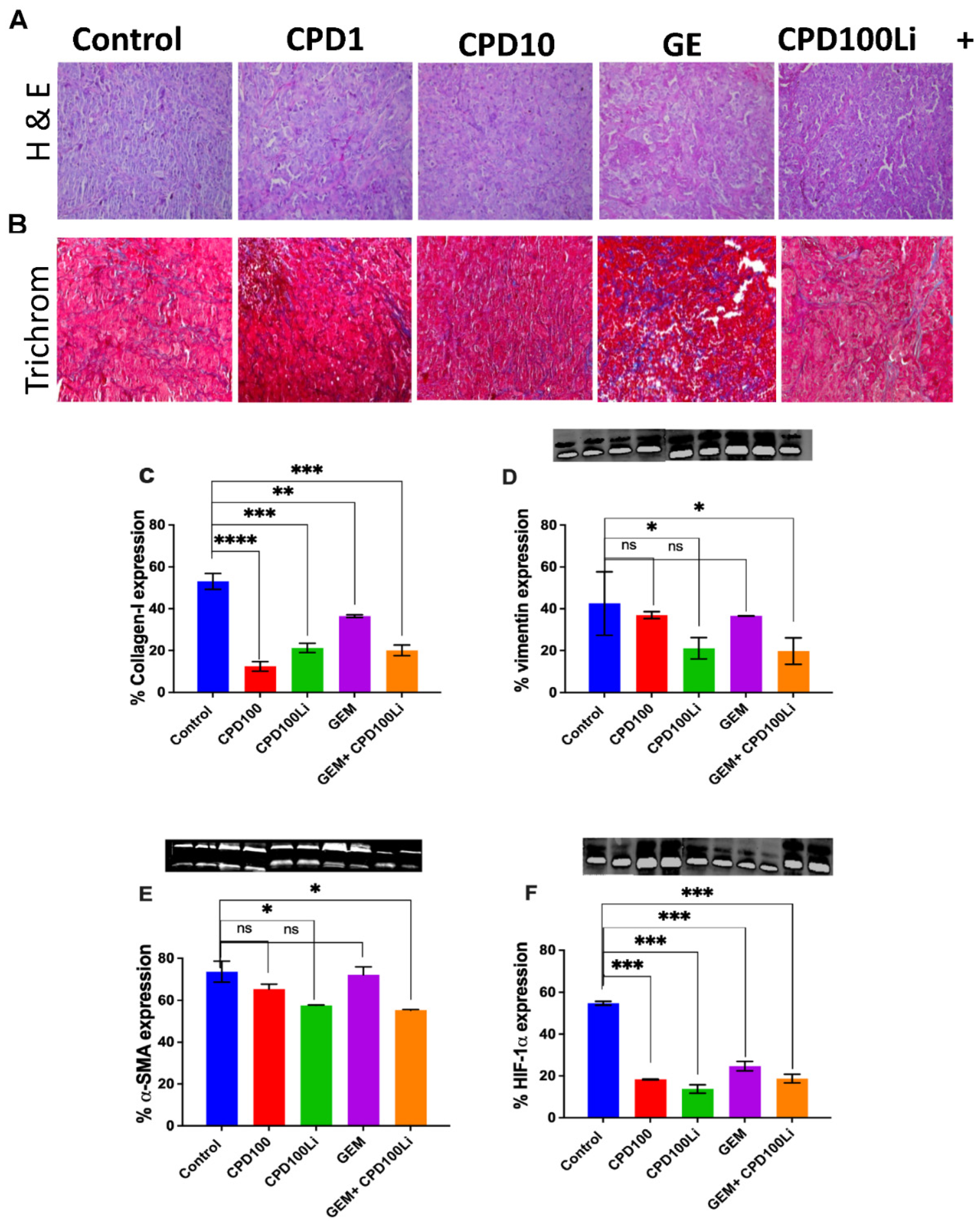 Pharmaceutics 14 00713 g005