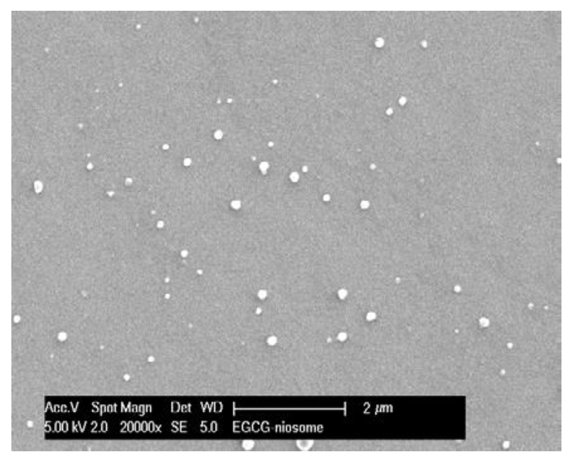 Pharmaceutics 14 00726 g002