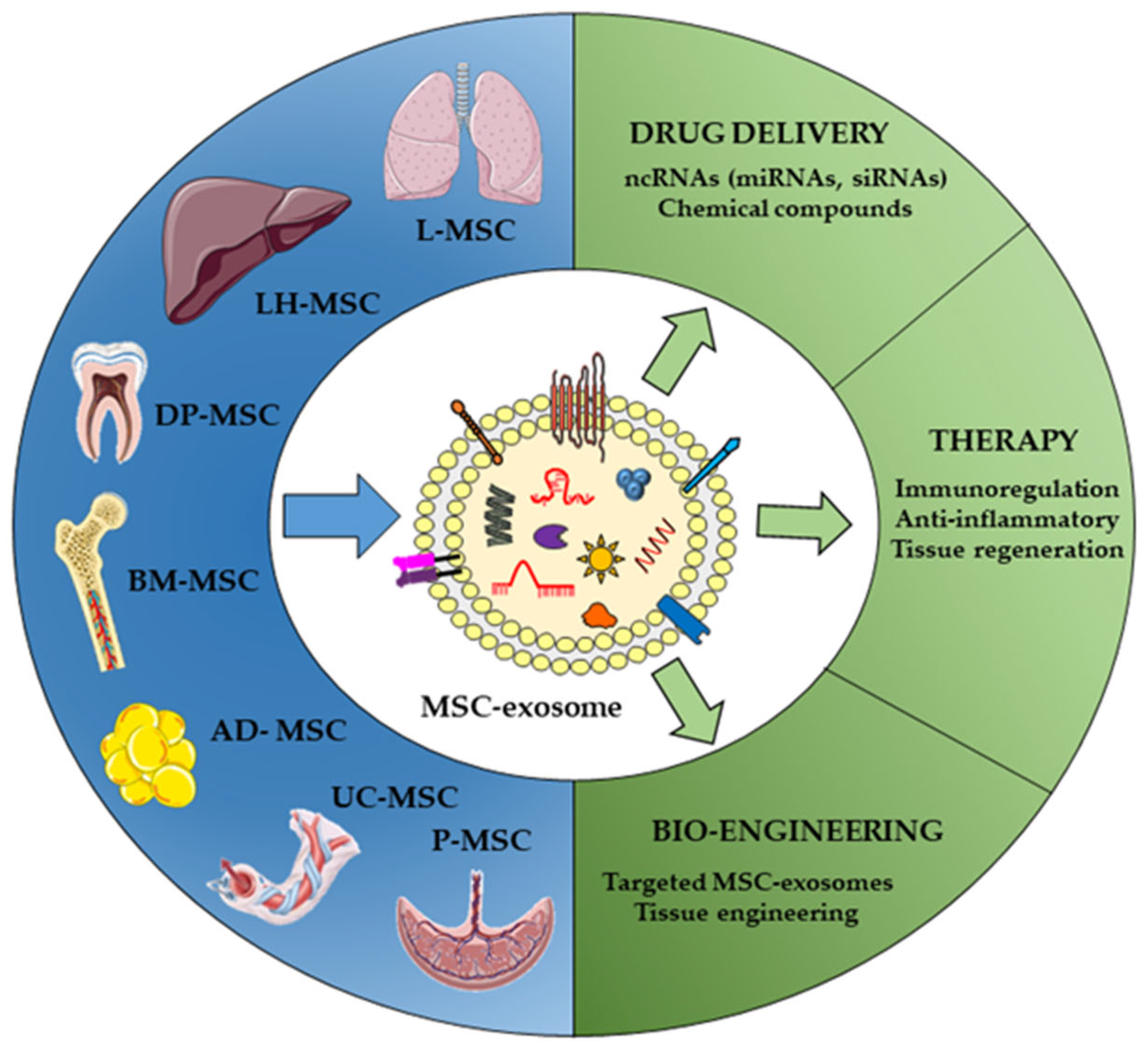 Pharmaceutics 14 00733 g002 Pharmaceutics 14 00733 g002