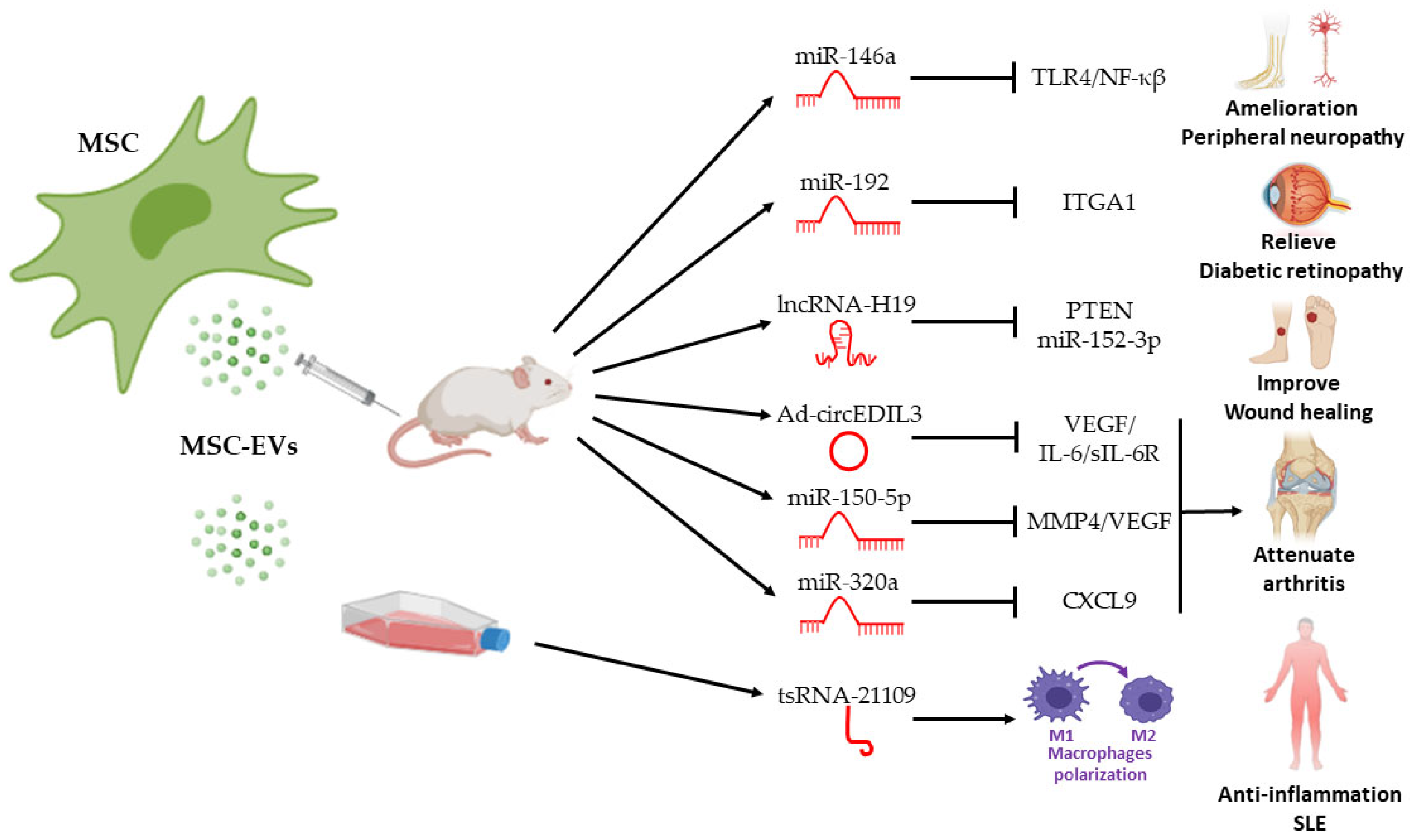 Pharmaceutics 14 00733 g003 Pharmaceutics 14 00733 g003