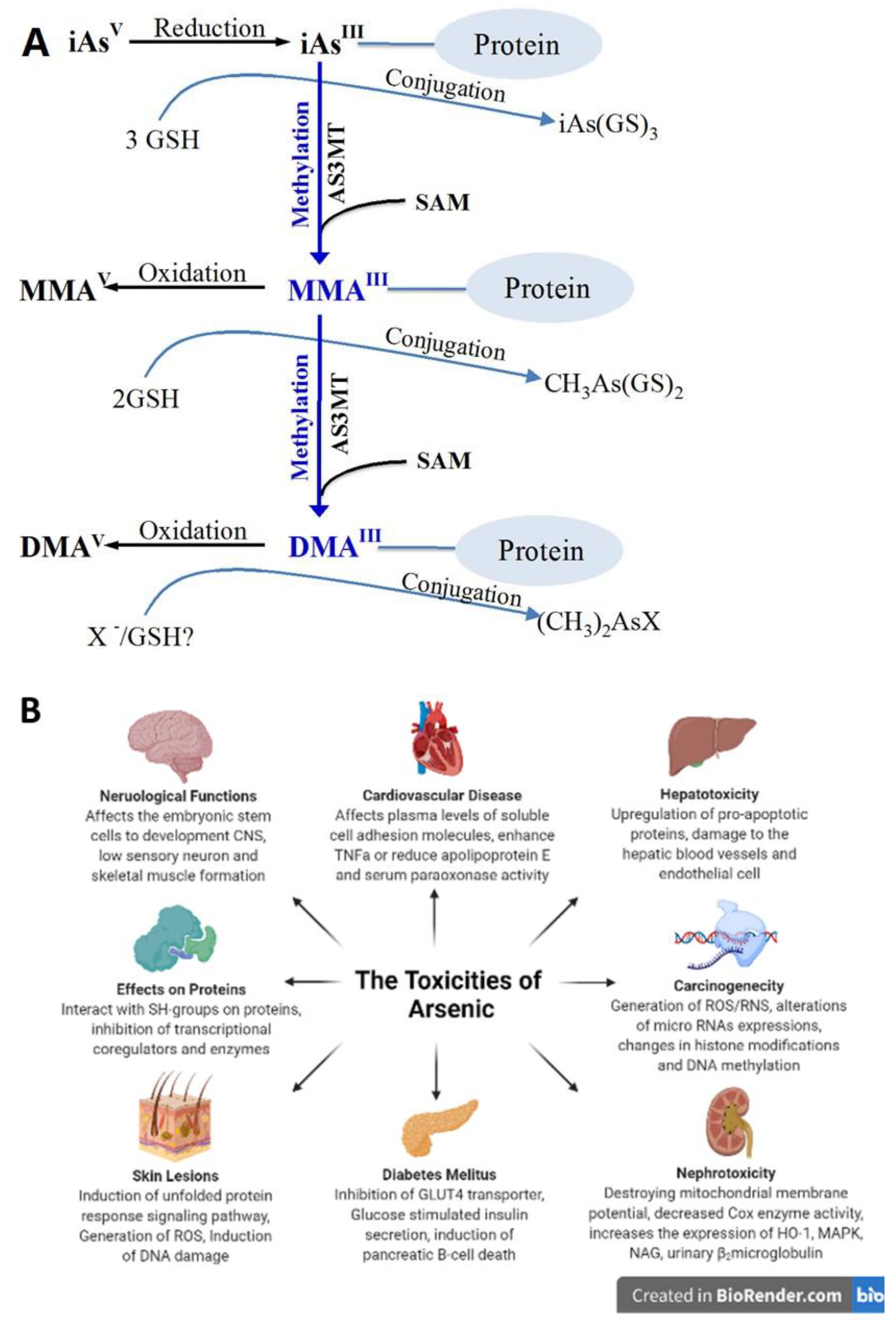 Pharmaceutics 14 00743 g001