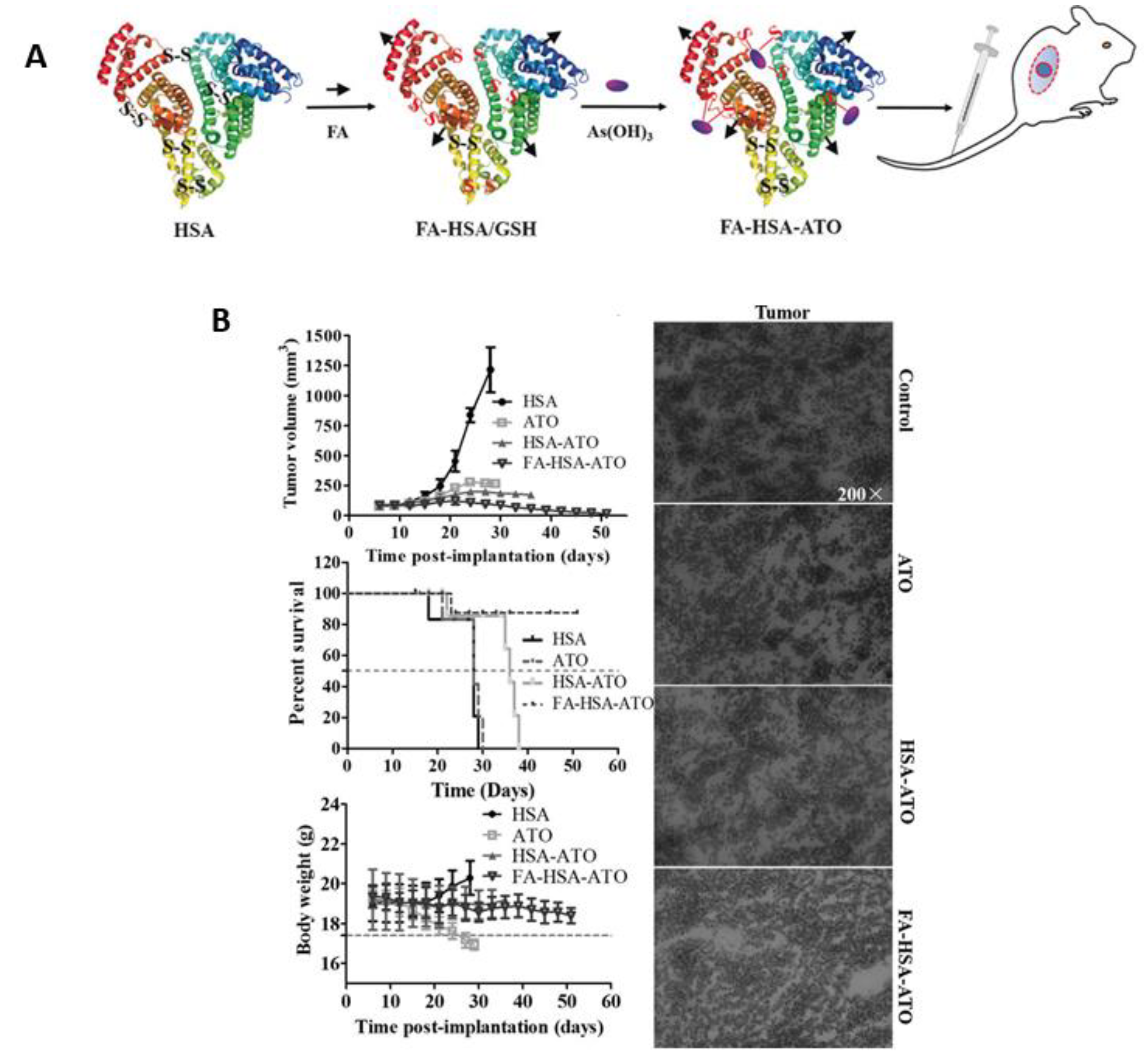 Pharmaceutics 14 00743 g005