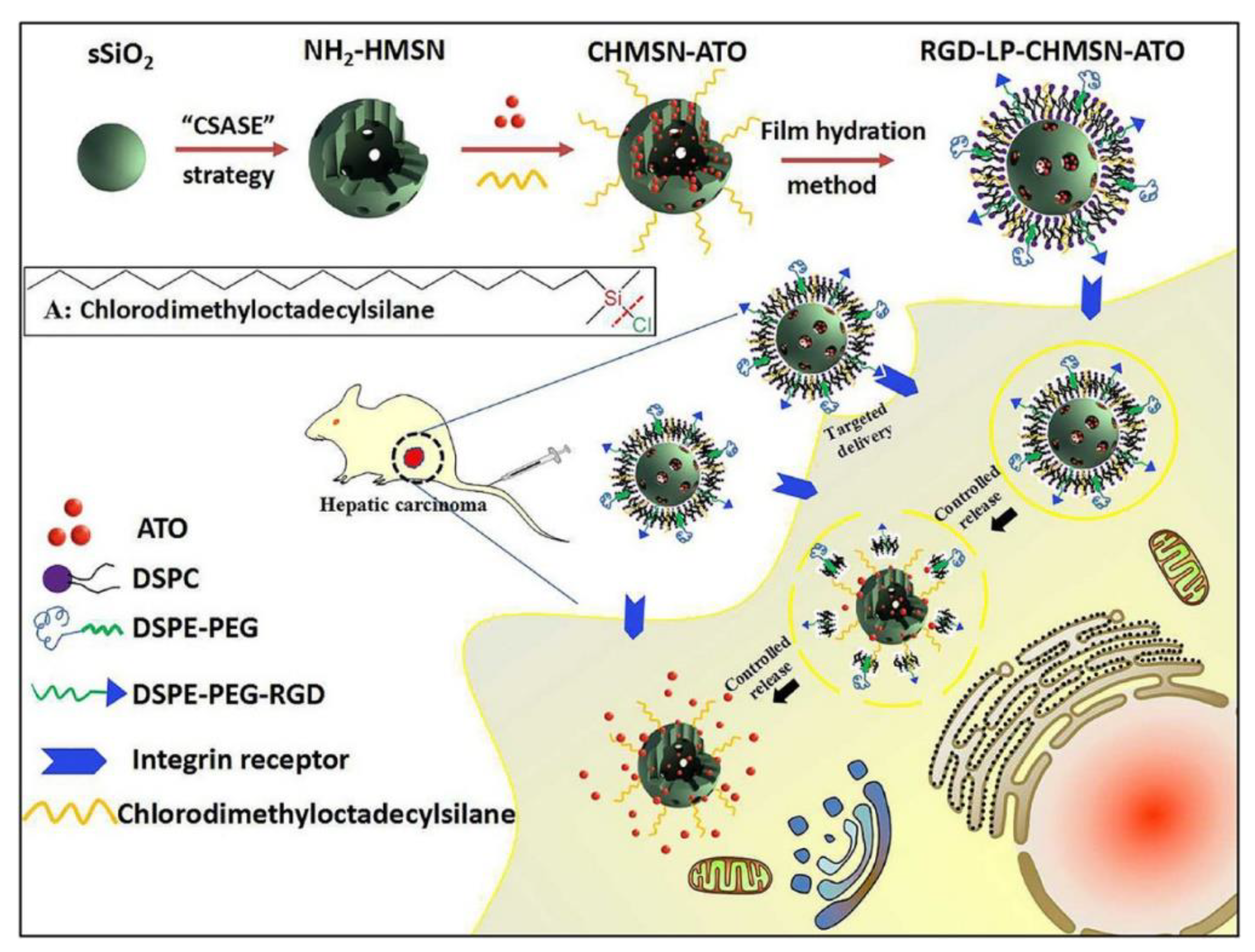 Pharmaceutics 14 00743 g008