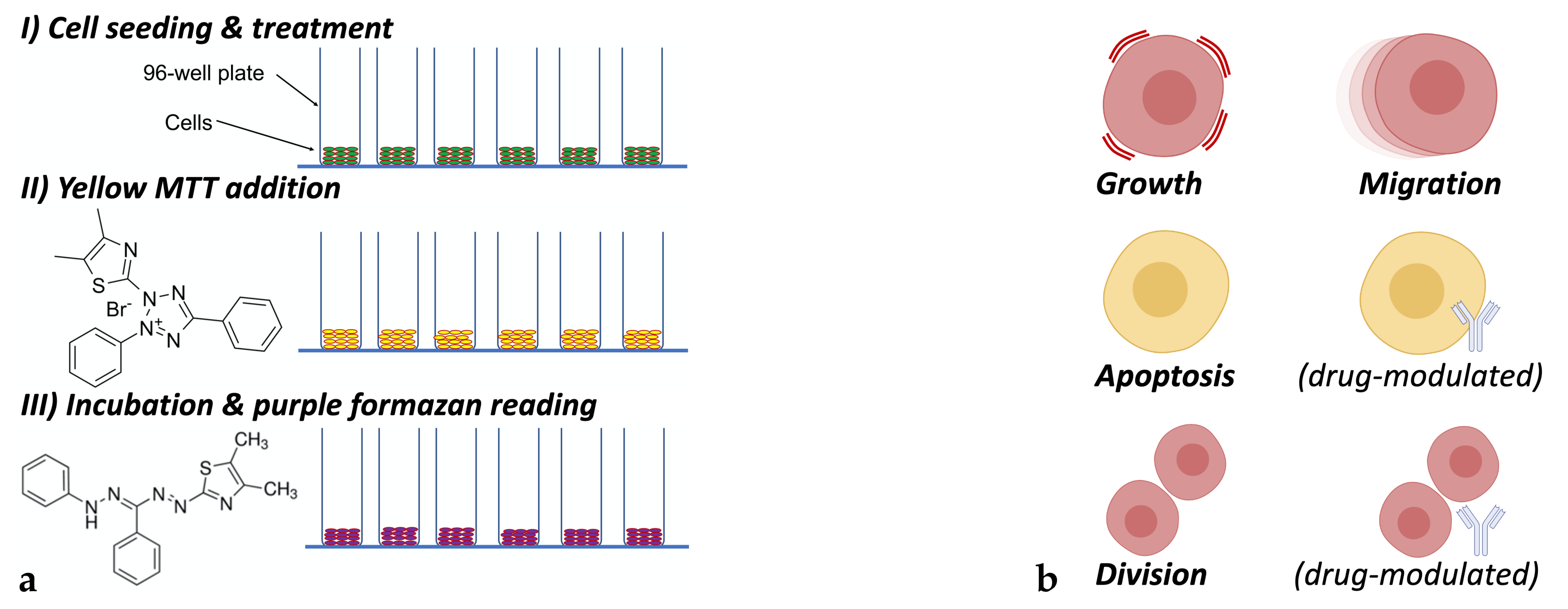Pharmaceutics 14 00749 g001