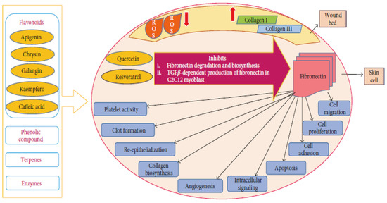 Pharmaceutics 14 00750 g006 550