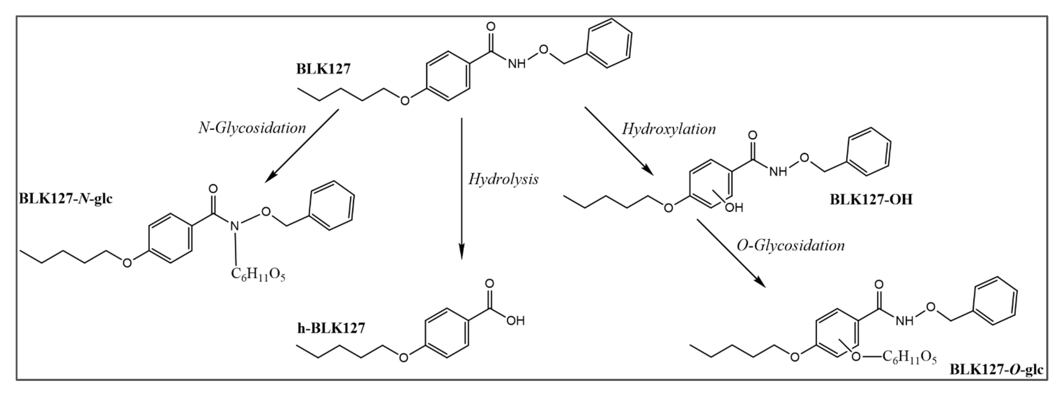 Pharmaceutics 14 00754 g007