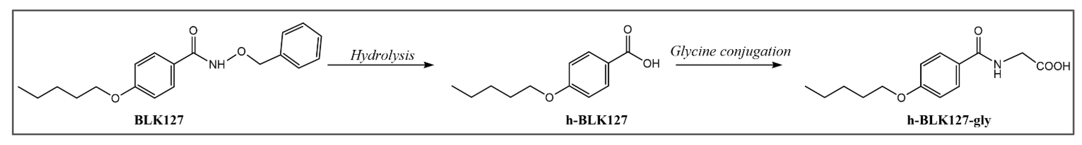 Pharmaceutics 14 00754 g008