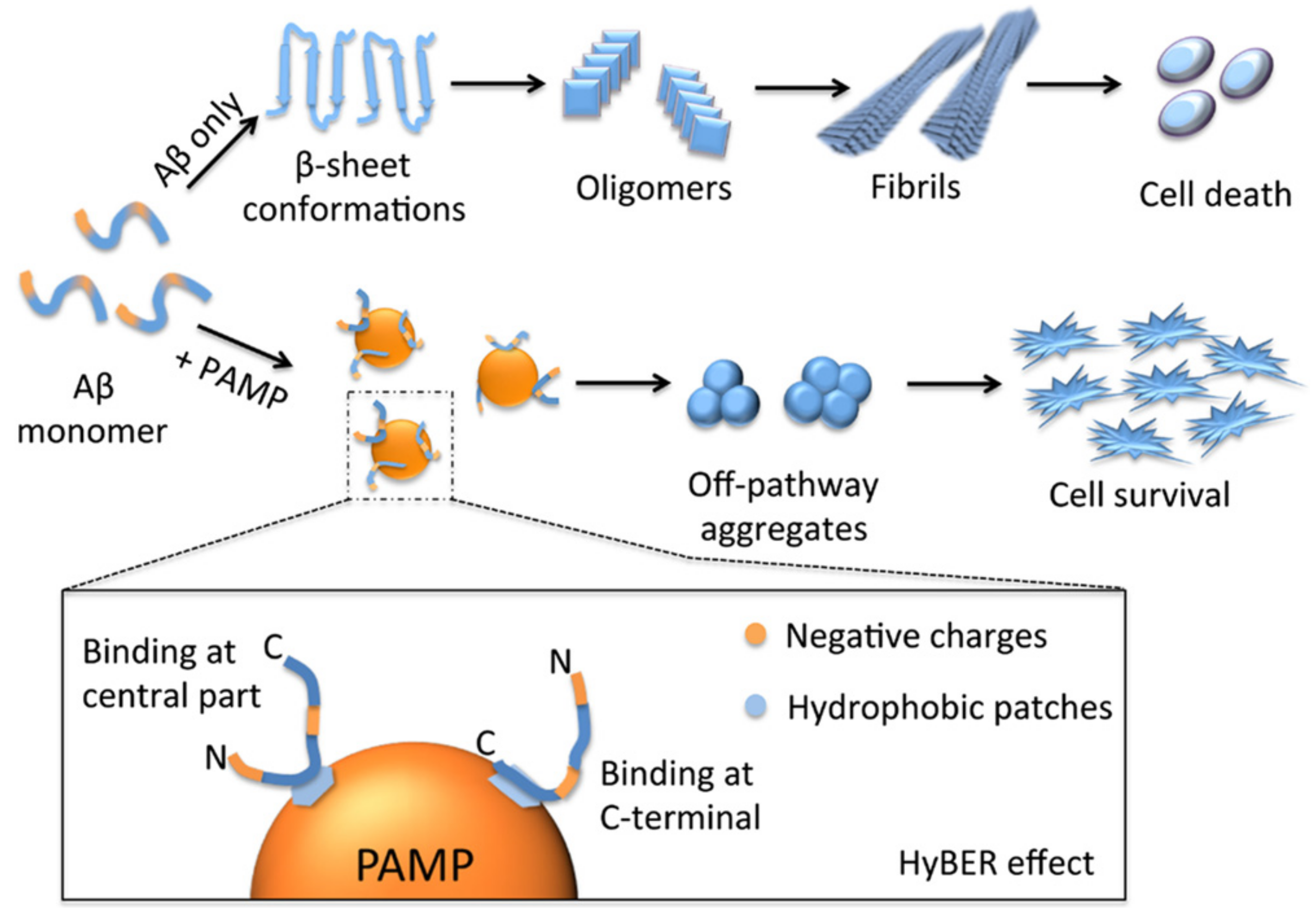 Pharmaceutics 14 00760 g008 Pharmaceutics 14 00760 g008