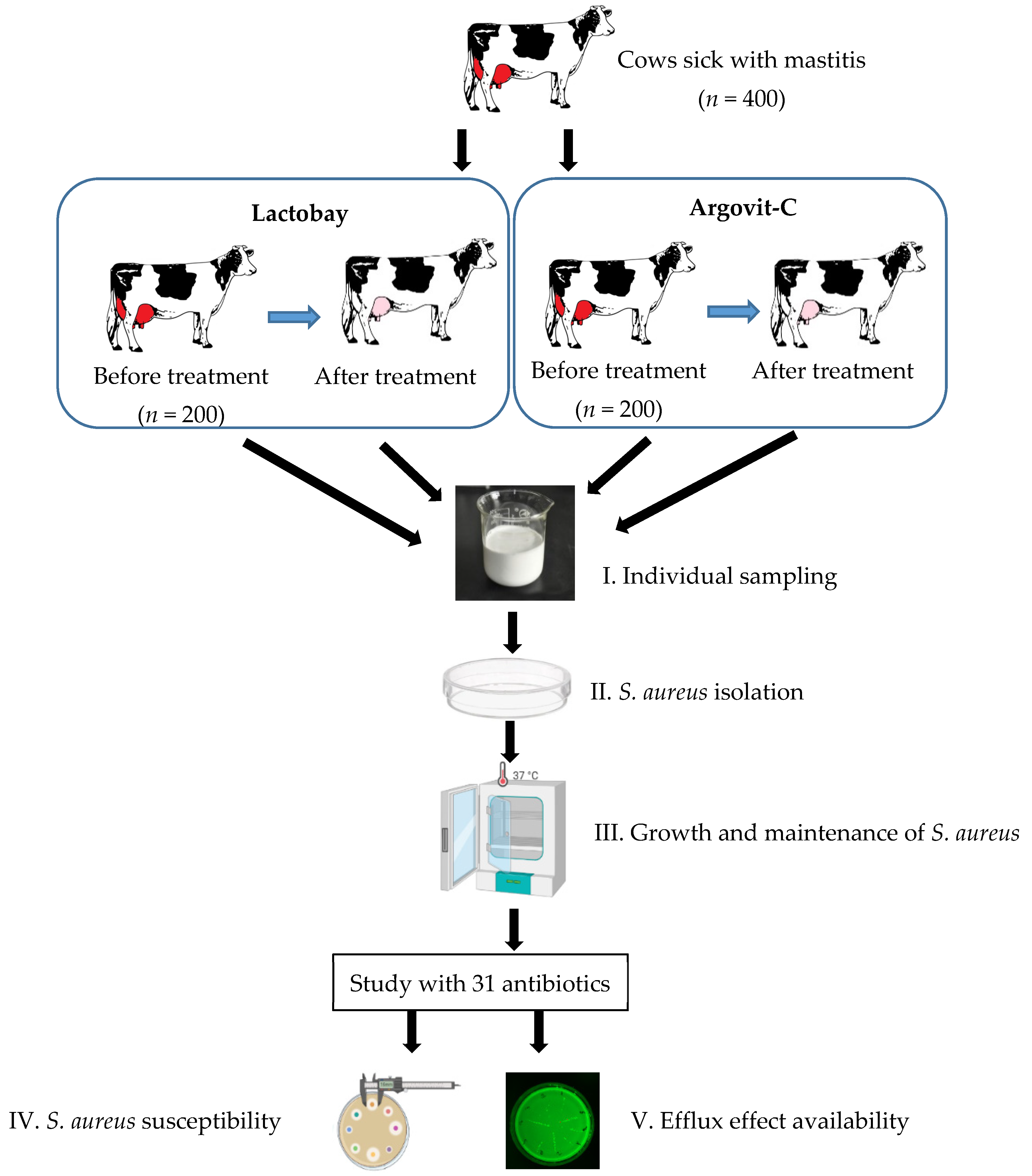 Pharmaceutics 14 00763 g001 Pharmaceutics 14 00763 g001