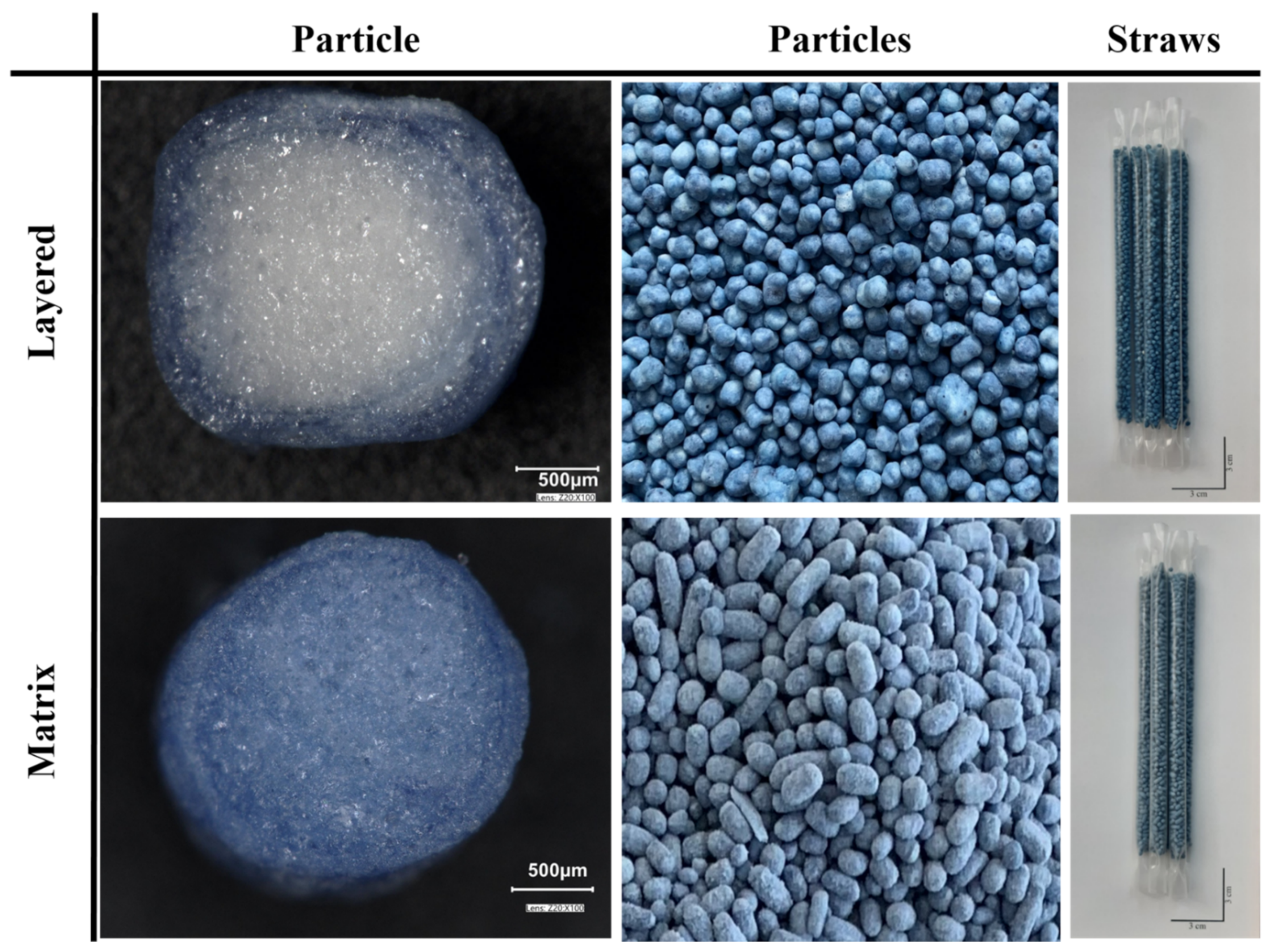 Pharmaceutics 14 00769 g002