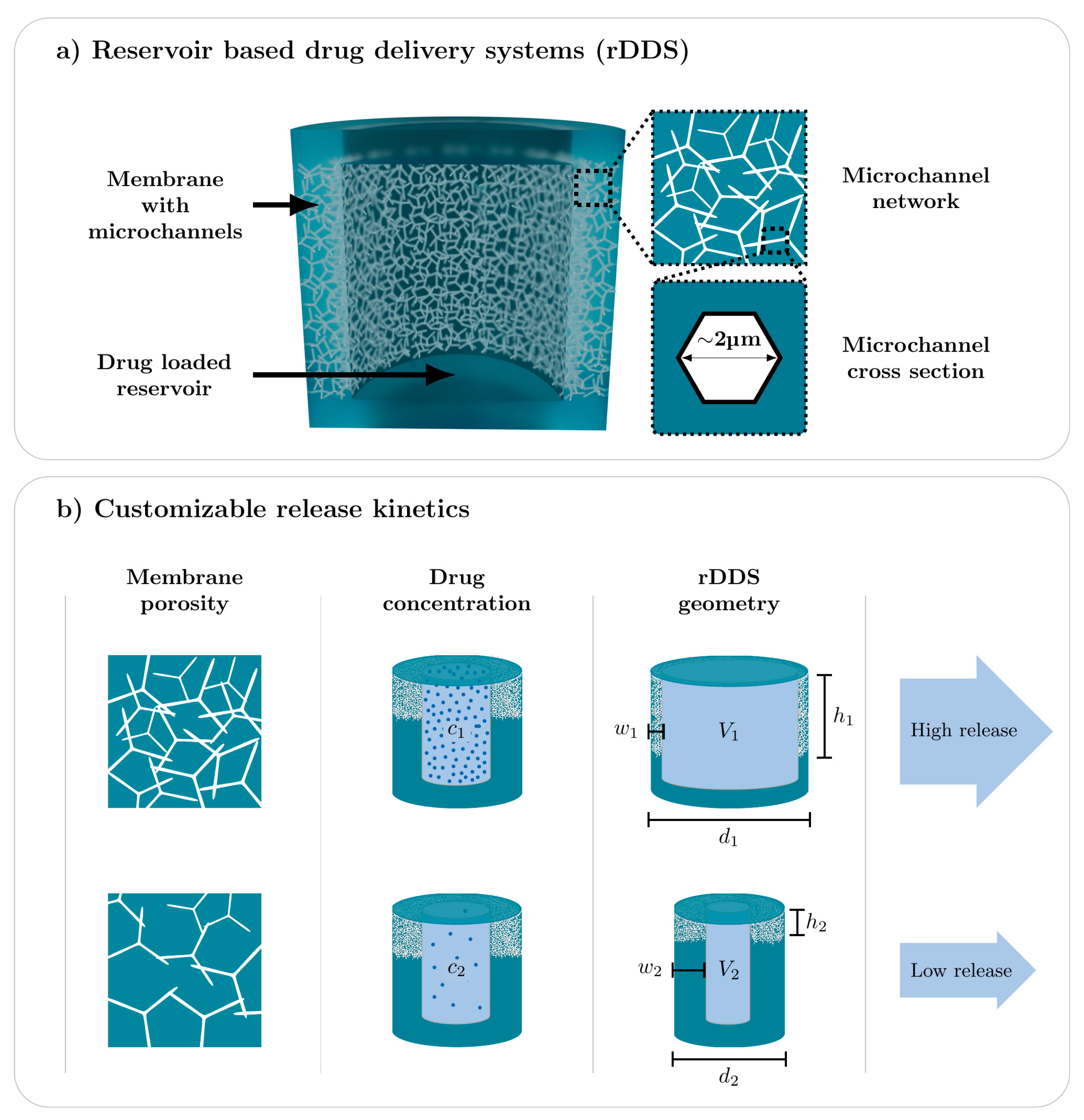 Pharmaceutics 14 00777 g001