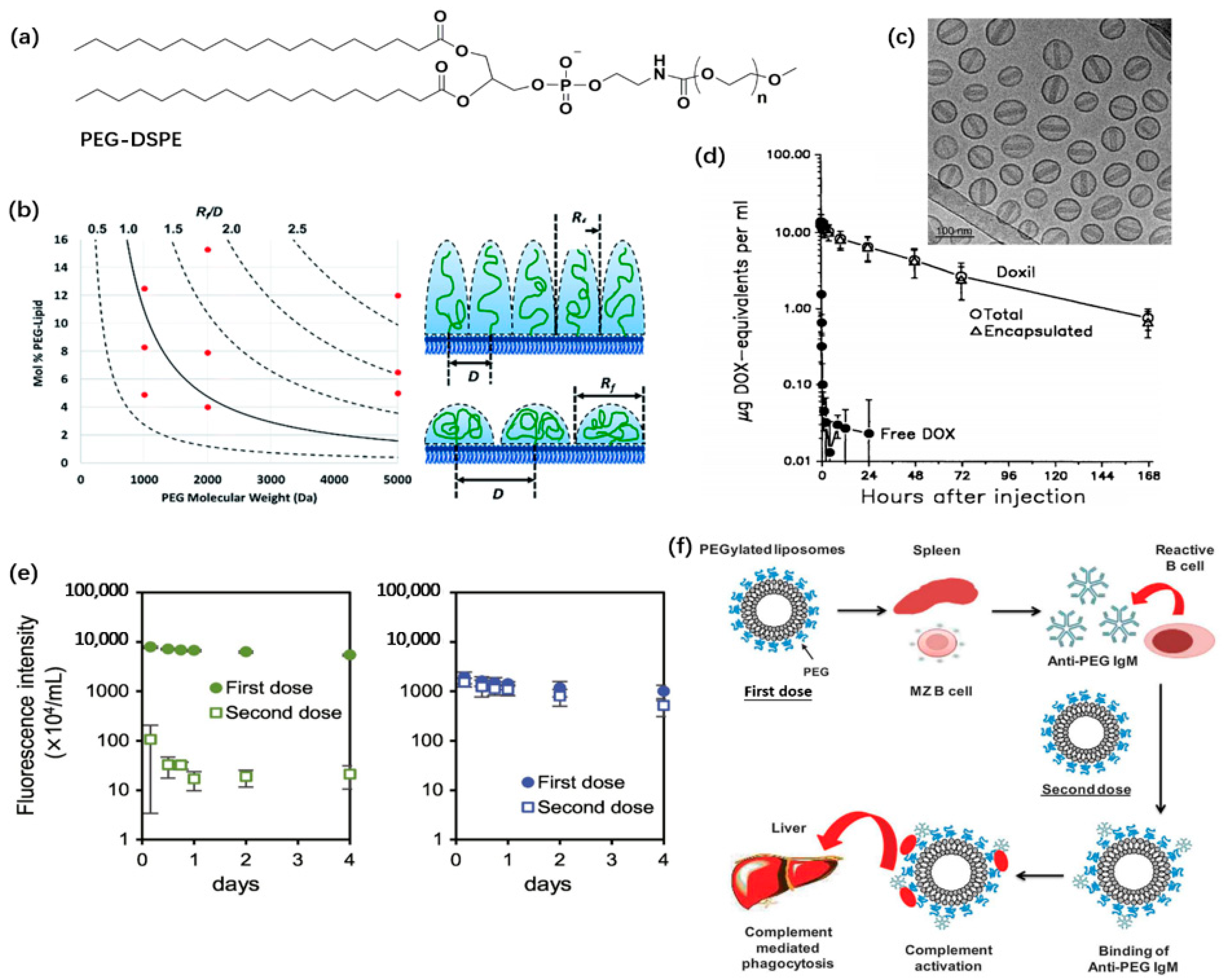 Pharmaceutics 14 00778 g004 Pharmaceutics 14 00778 g004