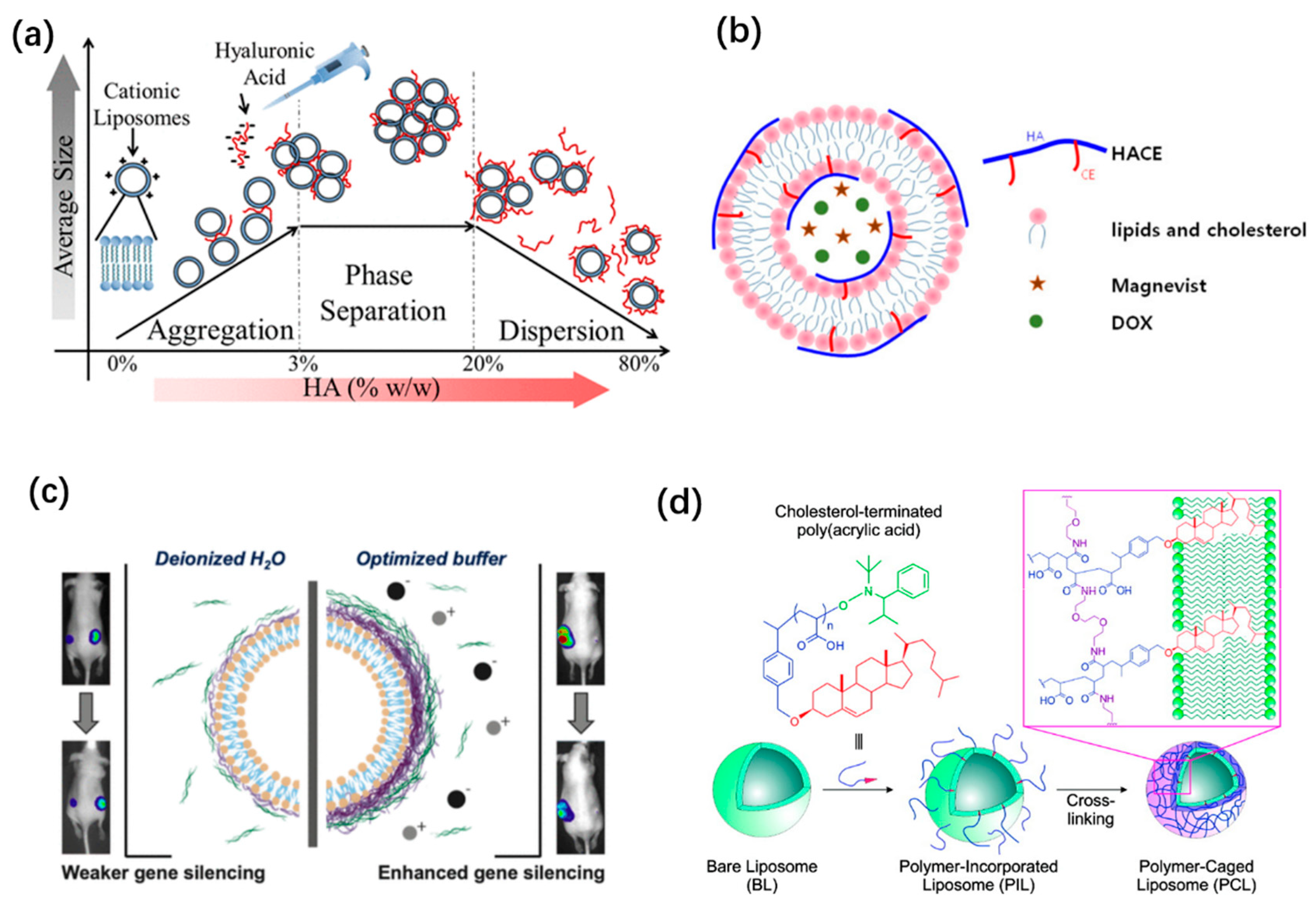 Pharmaceutics 14 00778 g005 Pharmaceutics 14 00778 g005