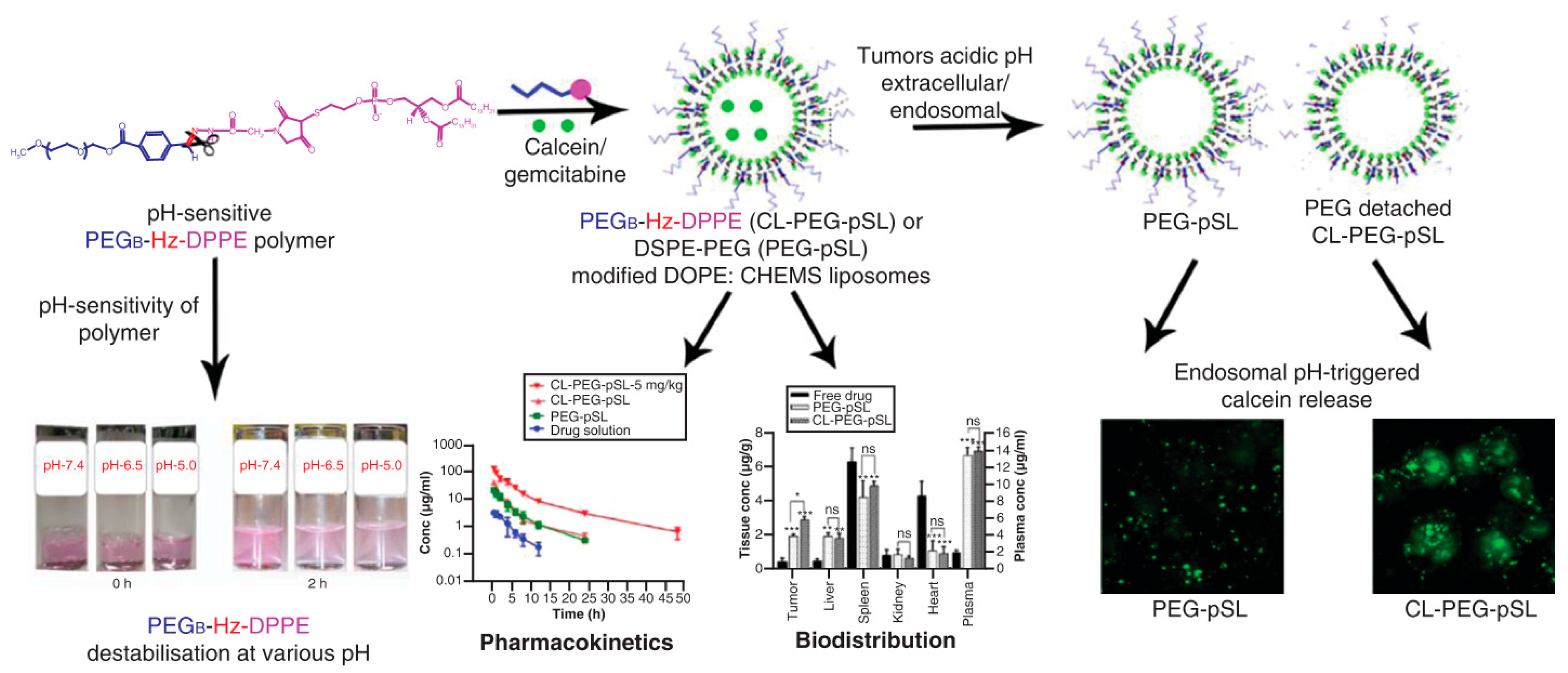 Pharmaceutics 14 00778 g006 Pharmaceutics 14 00778 g006