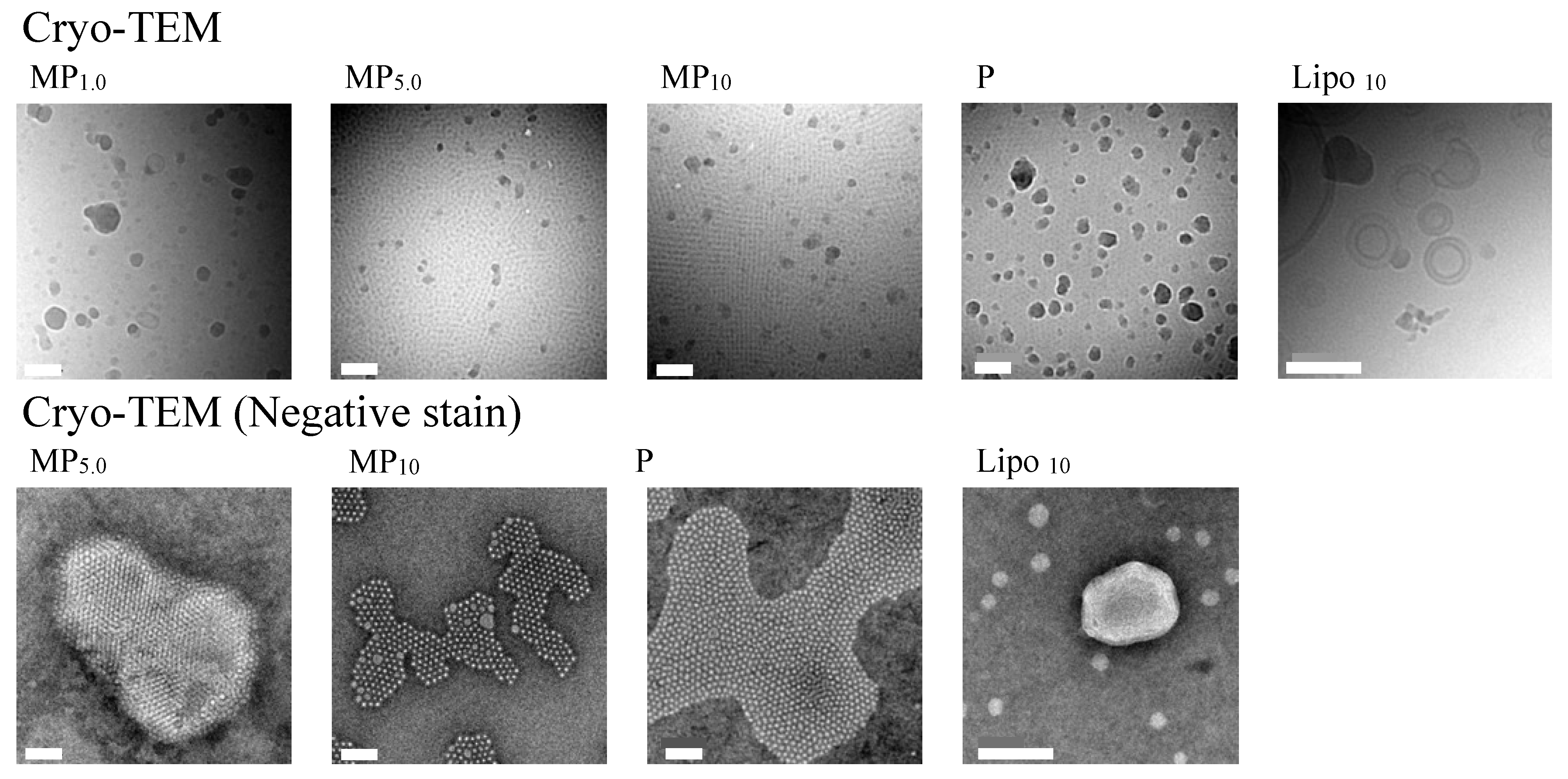 Pharmaceutics 14 00785 g004