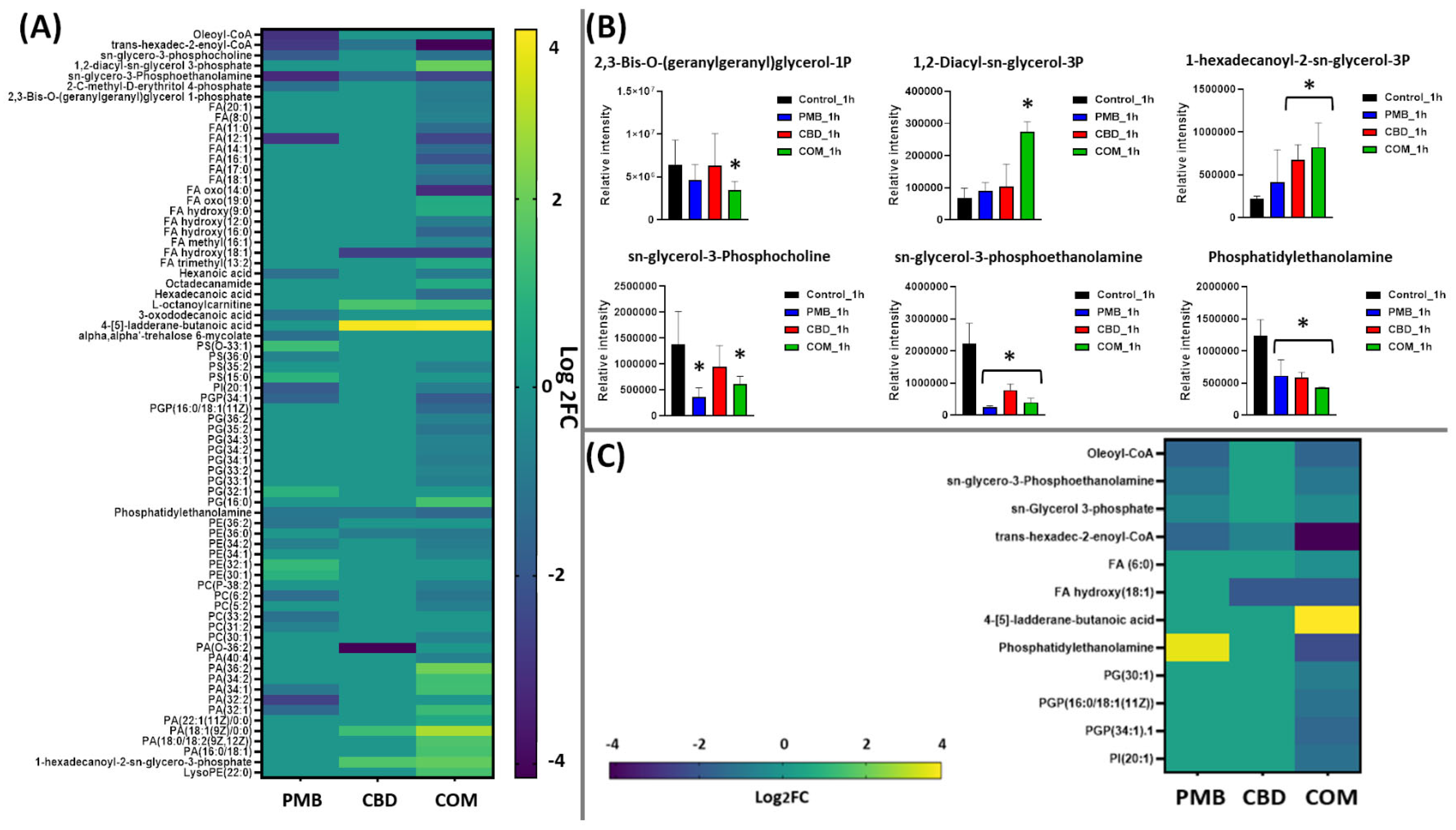 Pharmaceutics 14 00786 g002