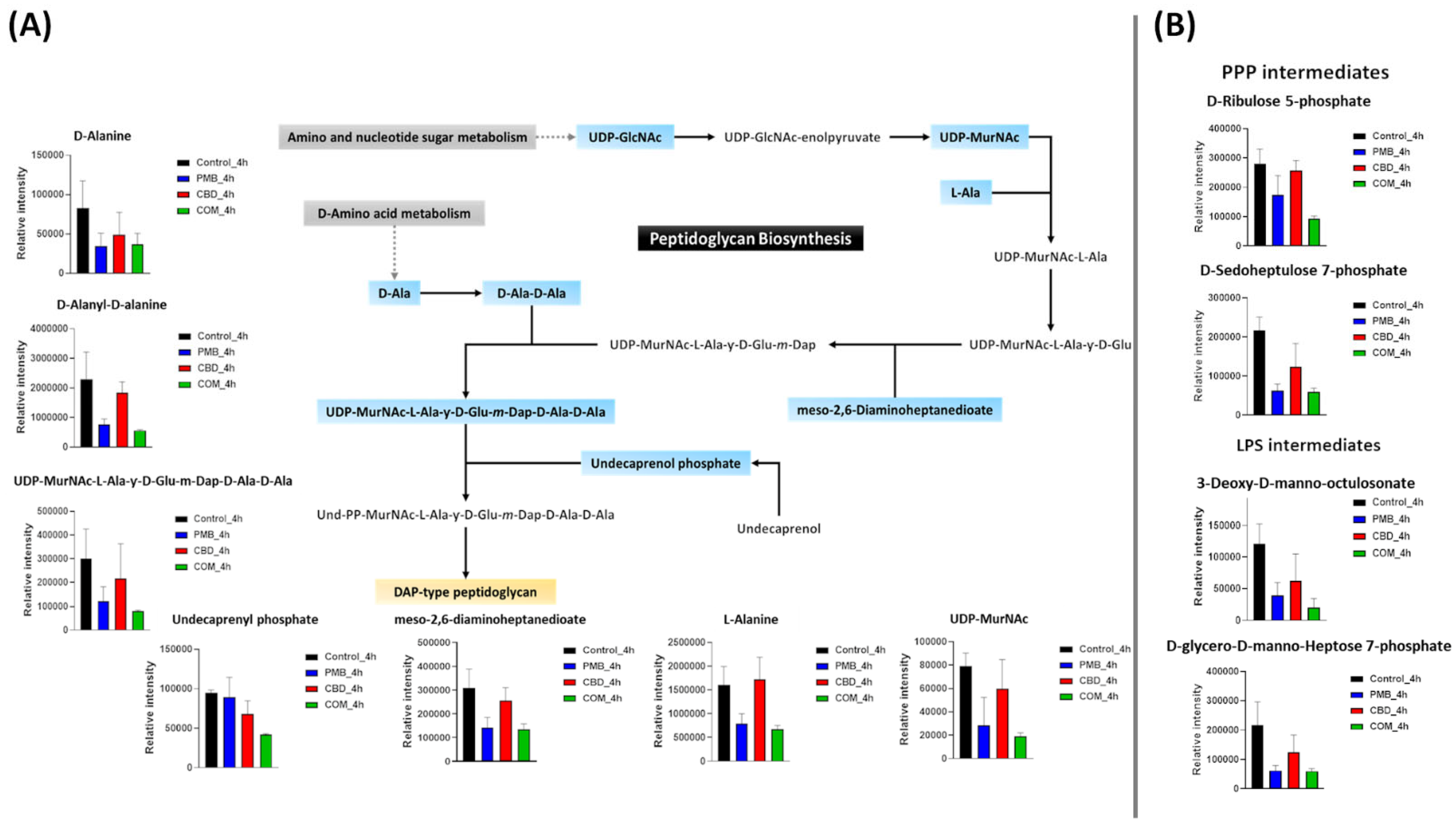 Pharmaceutics 14 00786 g003