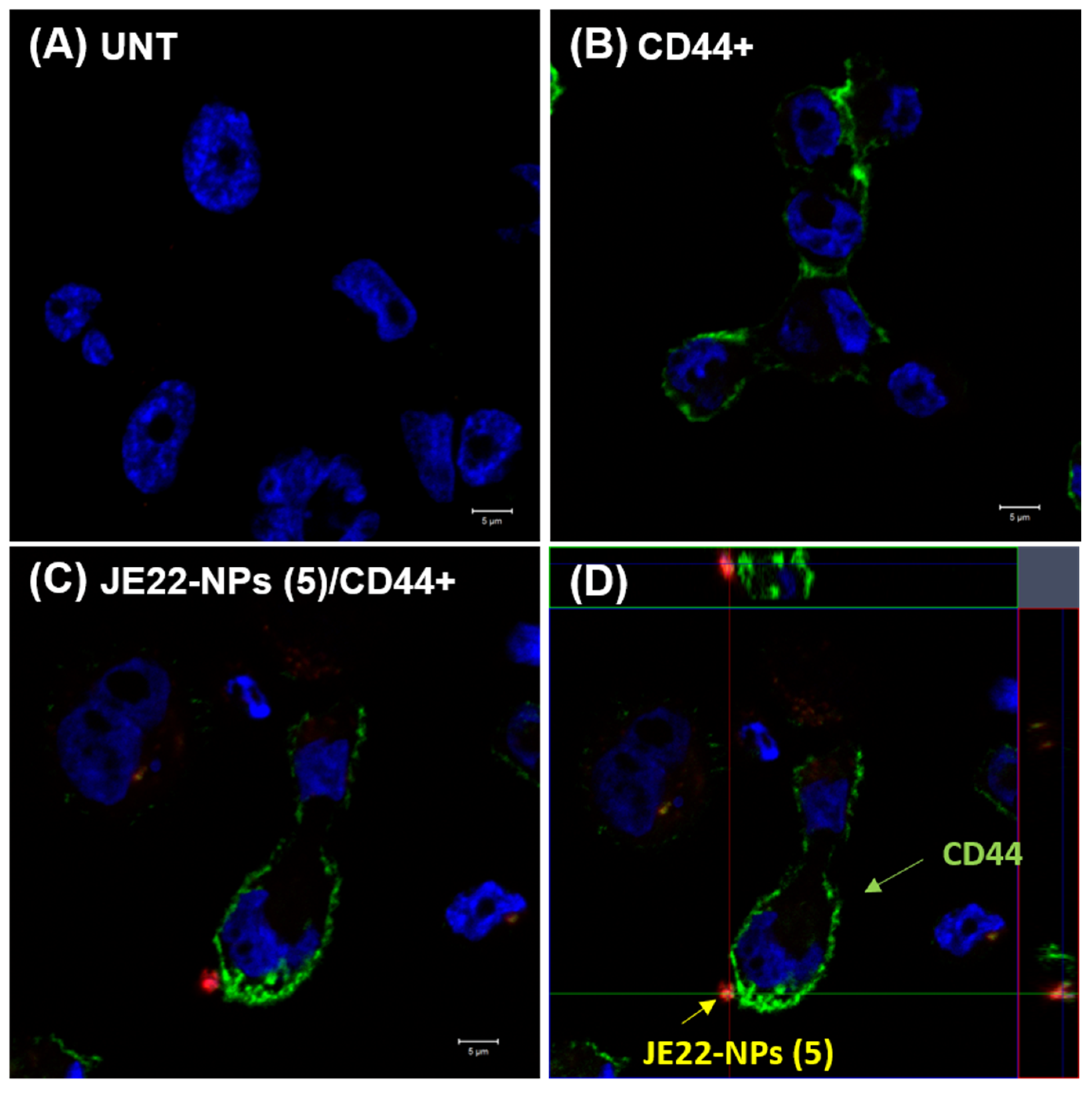 Pharmaceutics 14 00788 g006