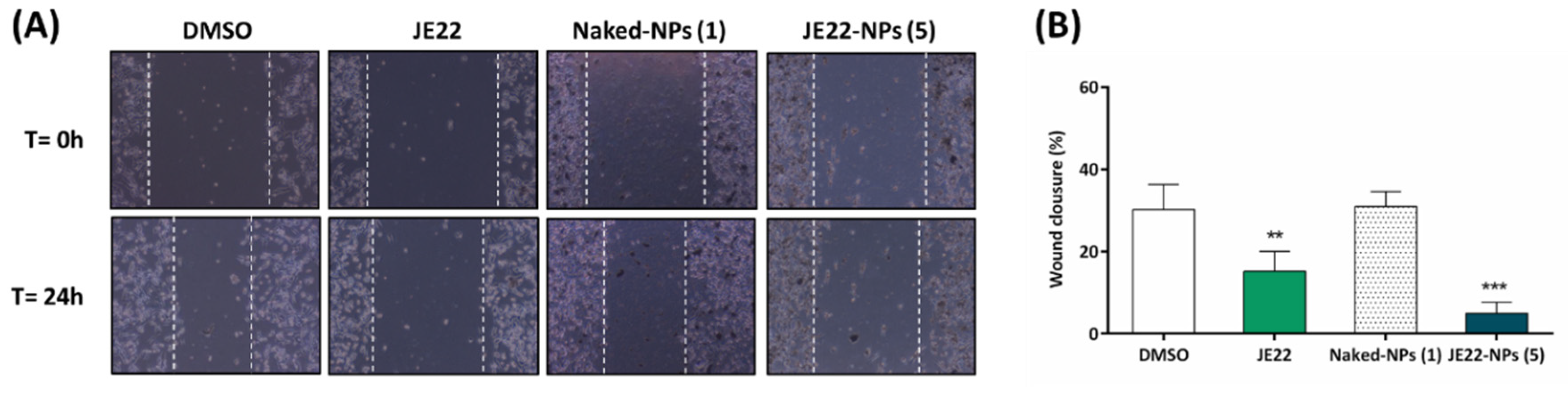 Pharmaceutics 14 00788 g008