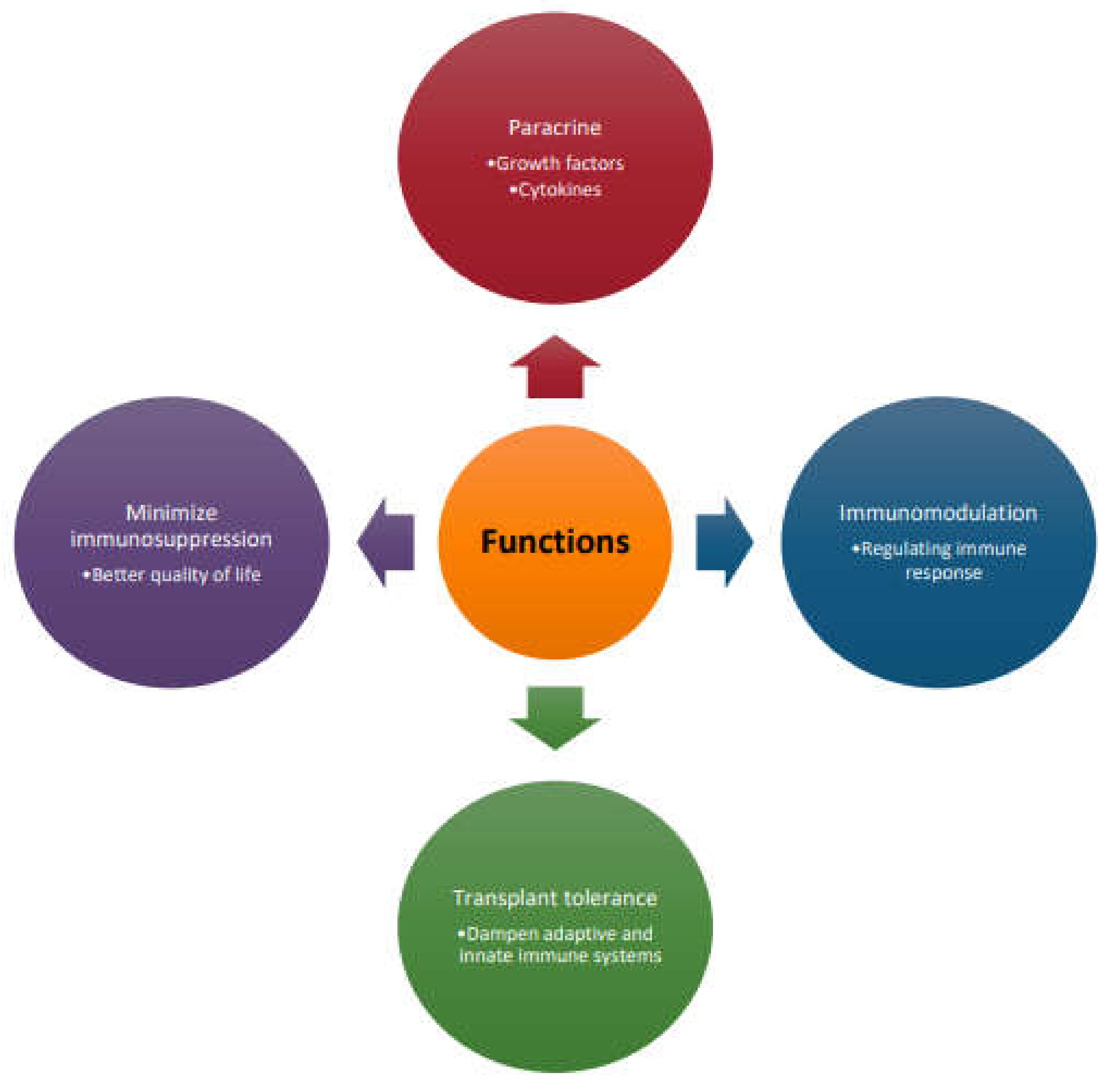 Pharmaceutics 14 00791 g002 Pharmaceutics 14 00791 g002