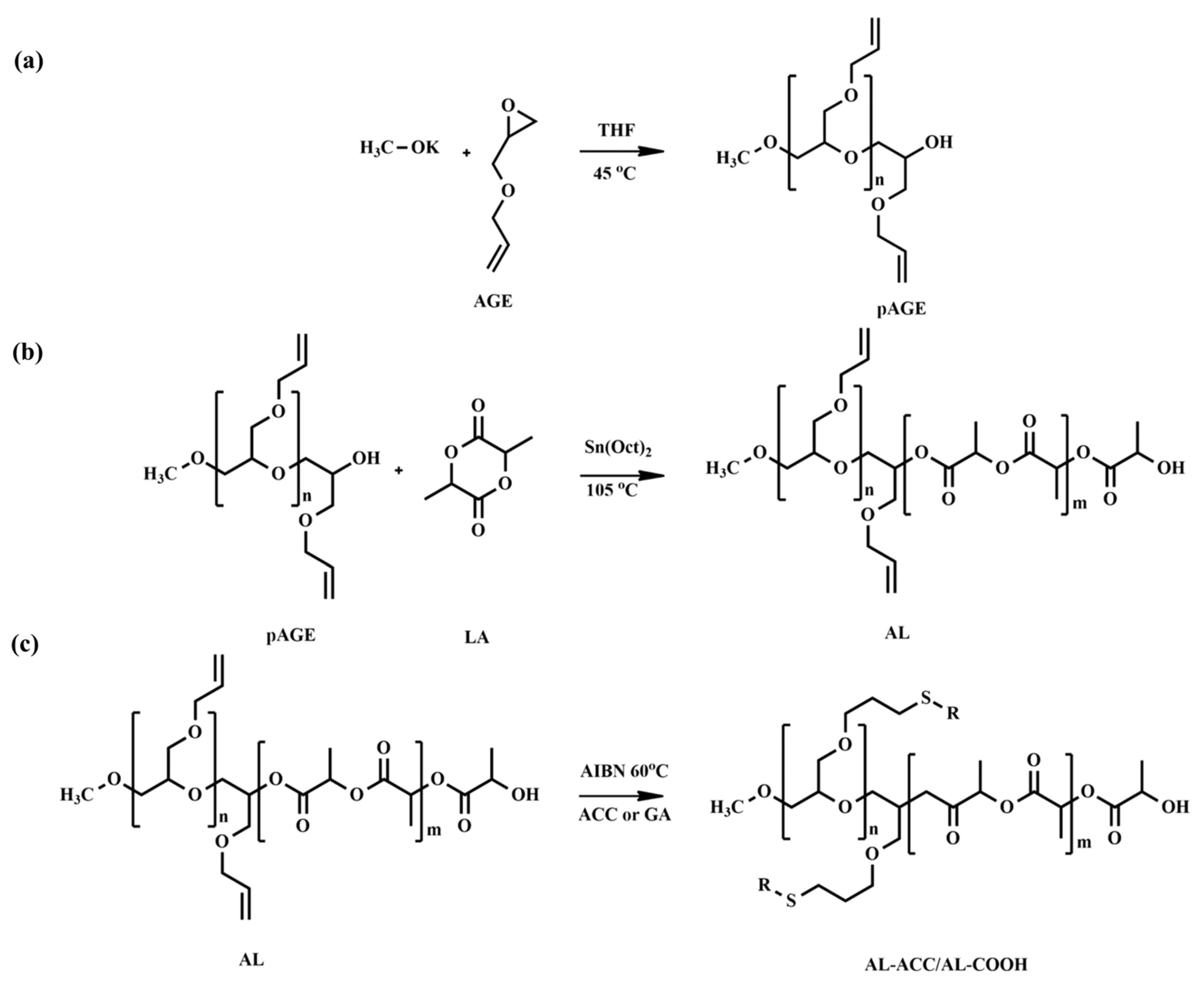 Pharmaceutics 14 00798 g001