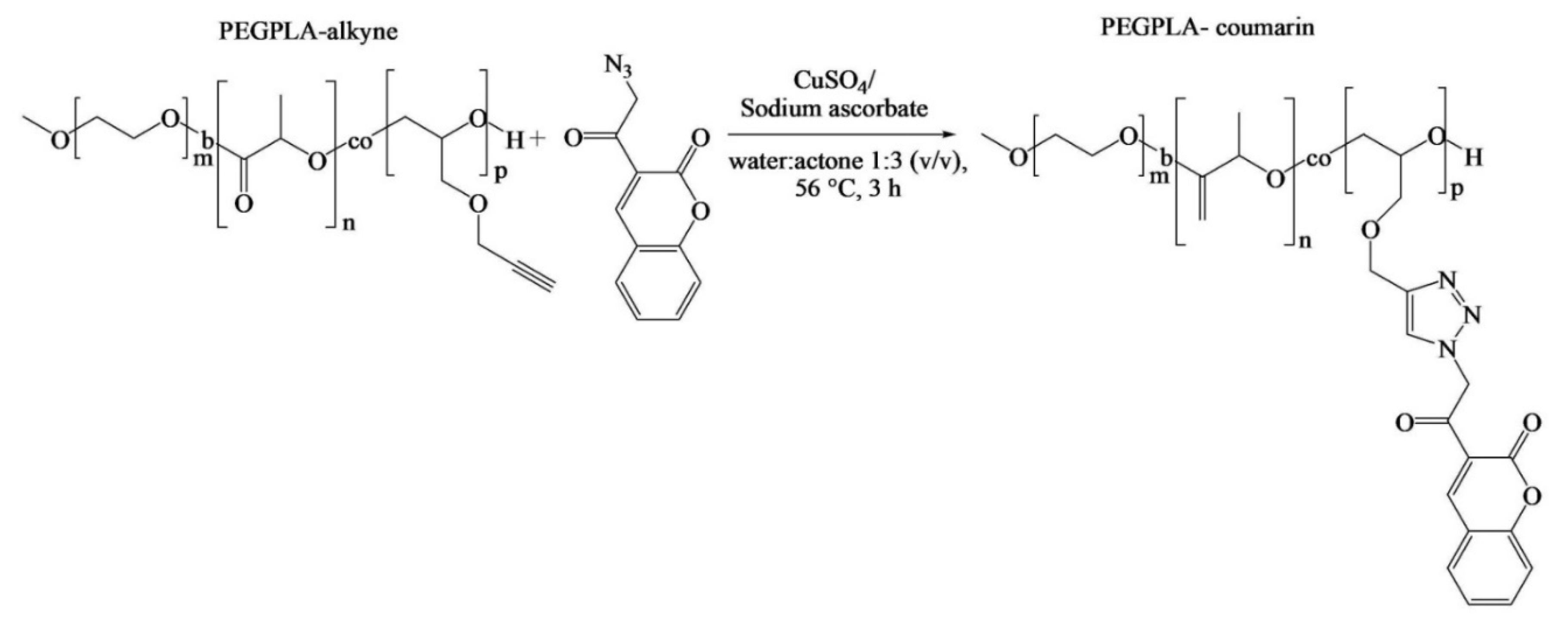 Pharmaceutics 14 00798 g005