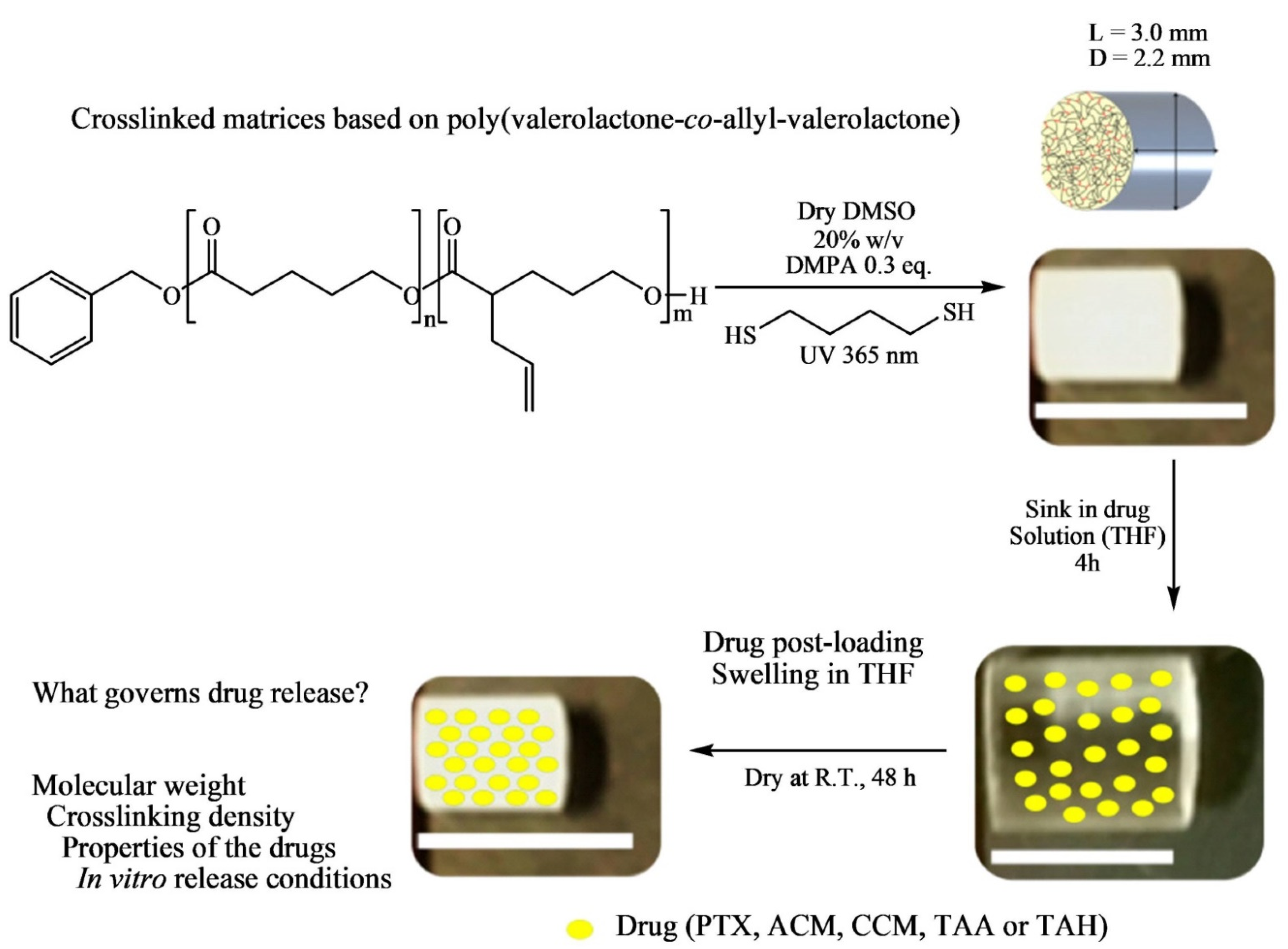 Pharmaceutics 14 00798 g007