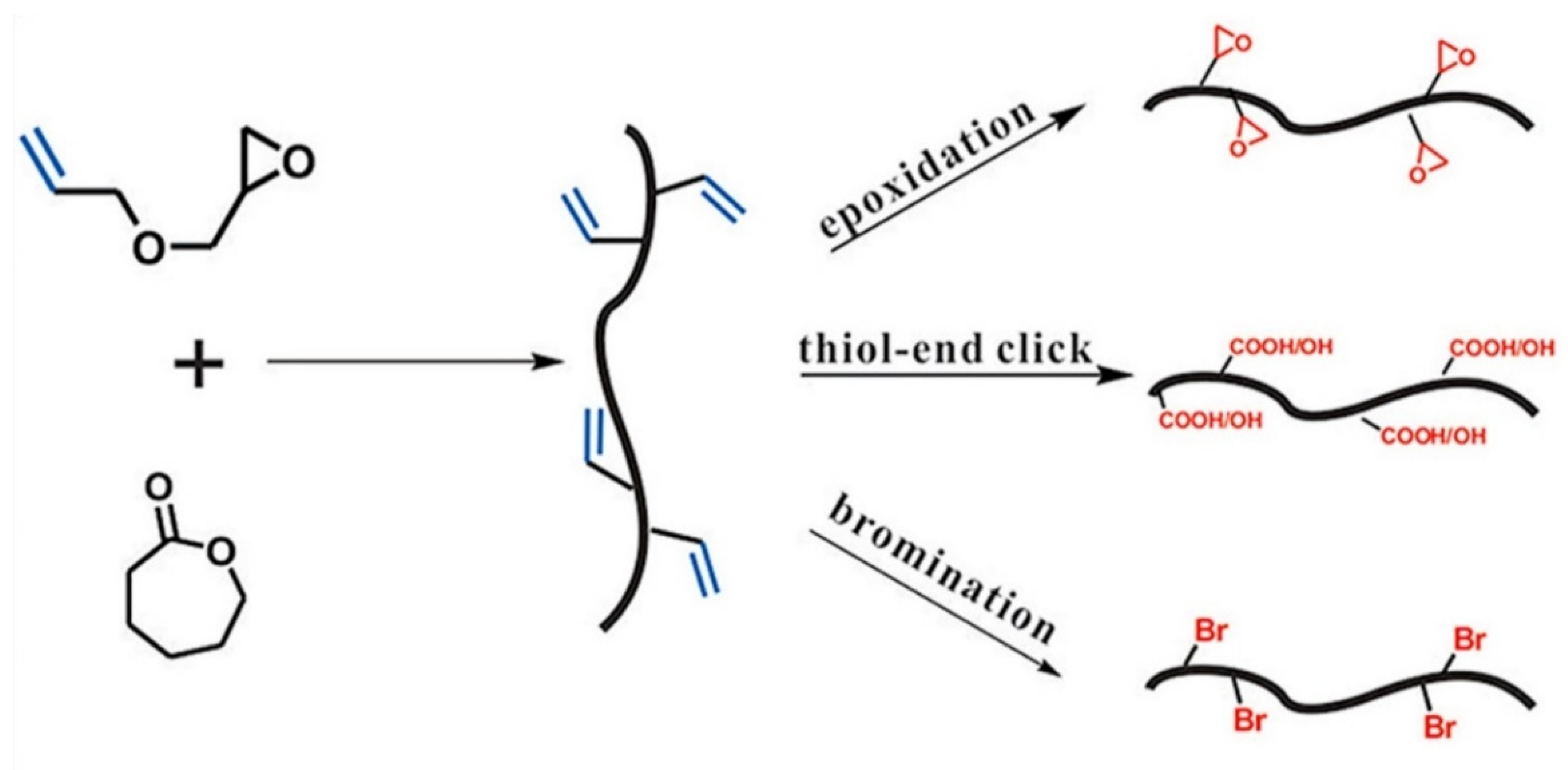 Pharmaceutics 14 00798 g008