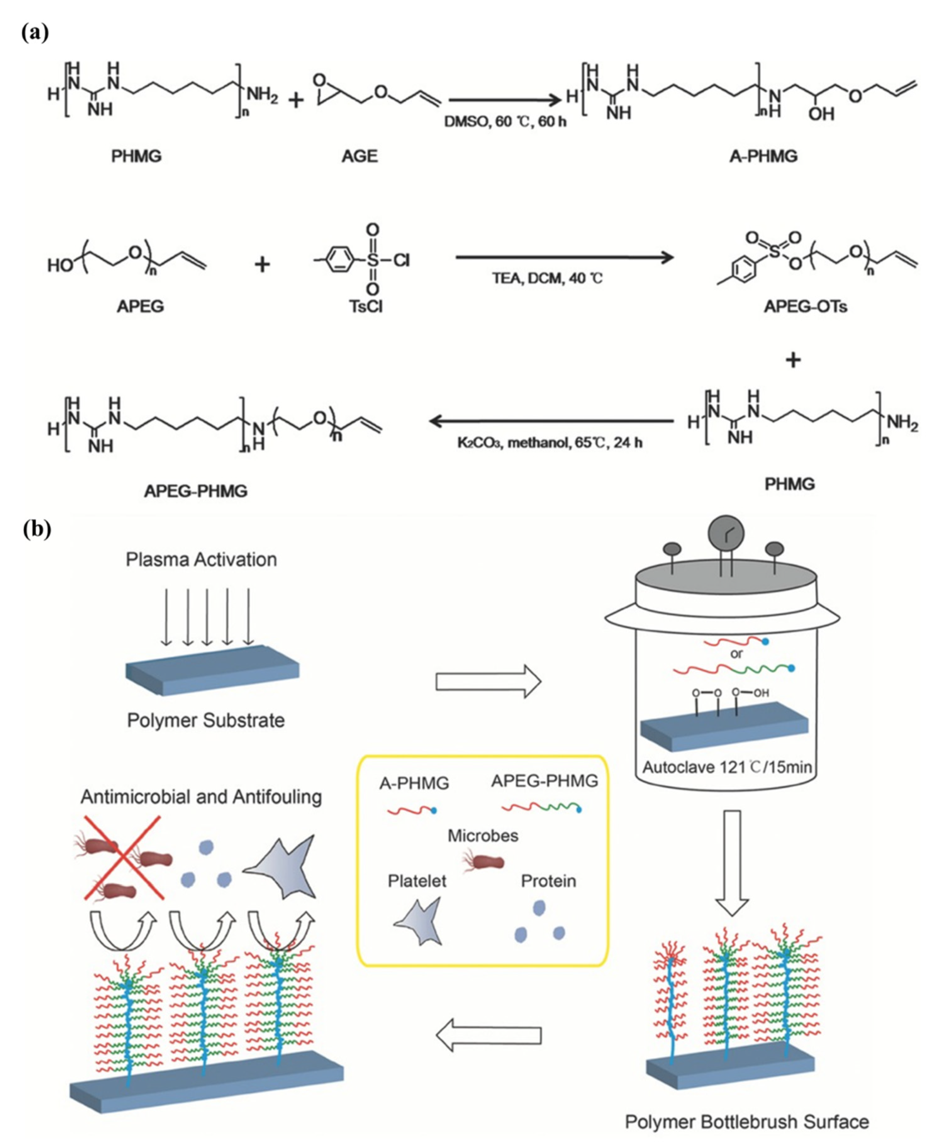 Pharmaceutics 14 00798 g014