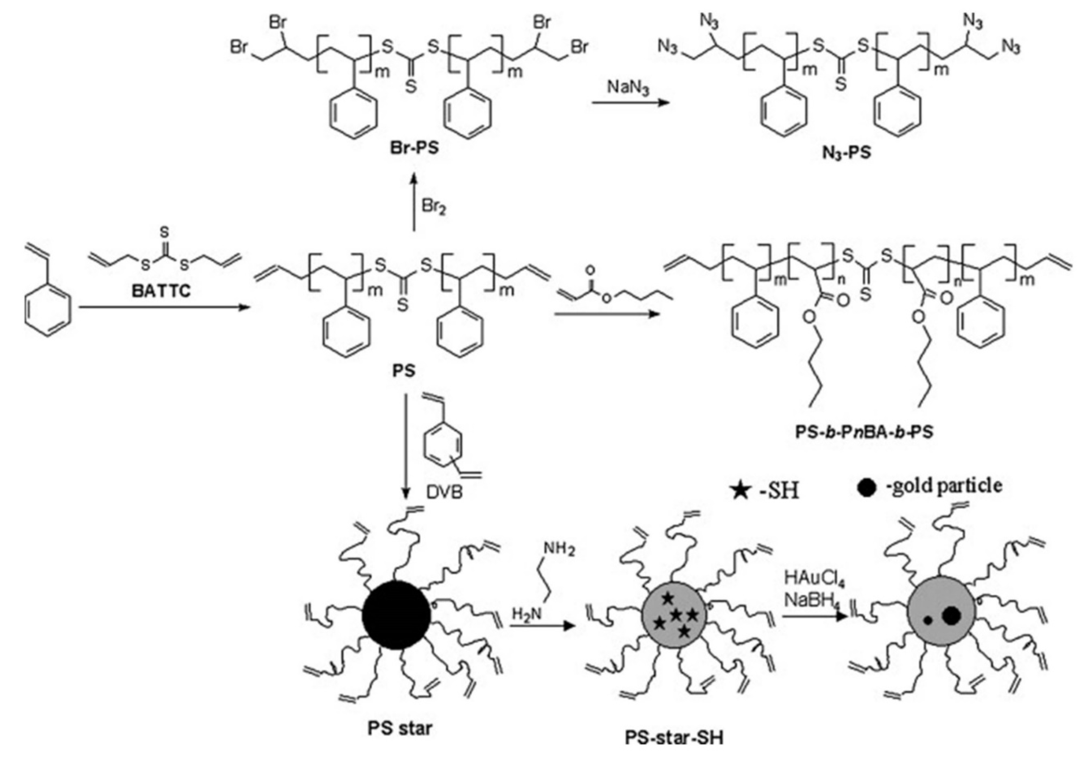 Pharmaceutics 14 00798 g023