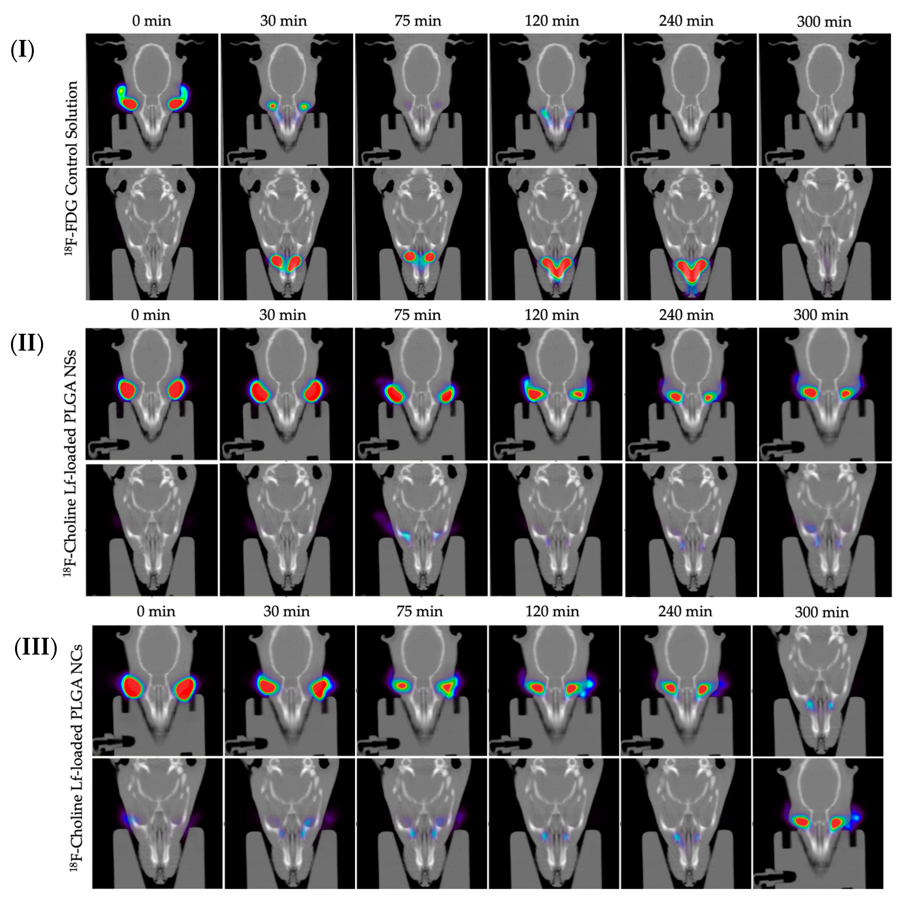 Pharmaceutics 14 00799 g018