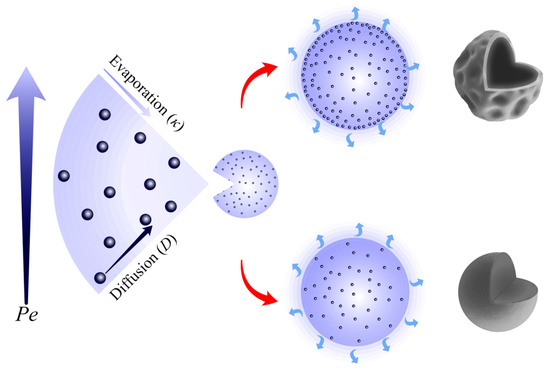 Pharmaceutics 14 00800 g005 550