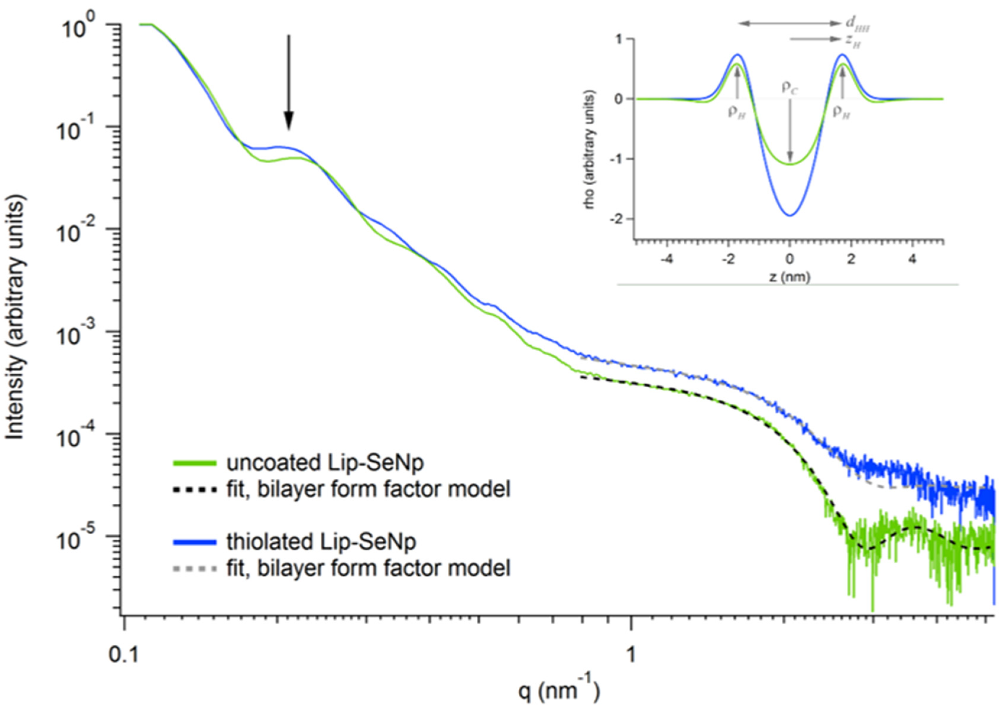 Pharmaceutics 14 00803 g004