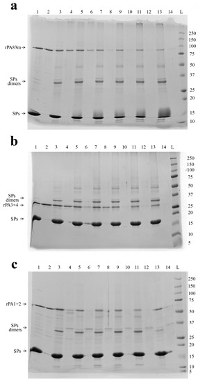 Pharmaceutics 14 00806 g0a1