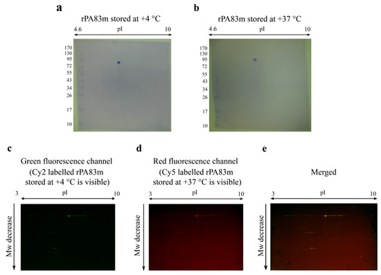 Pharmaceutics 14 00806 g0a2