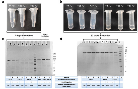 Pharmaceutics 14 00806 g0a3