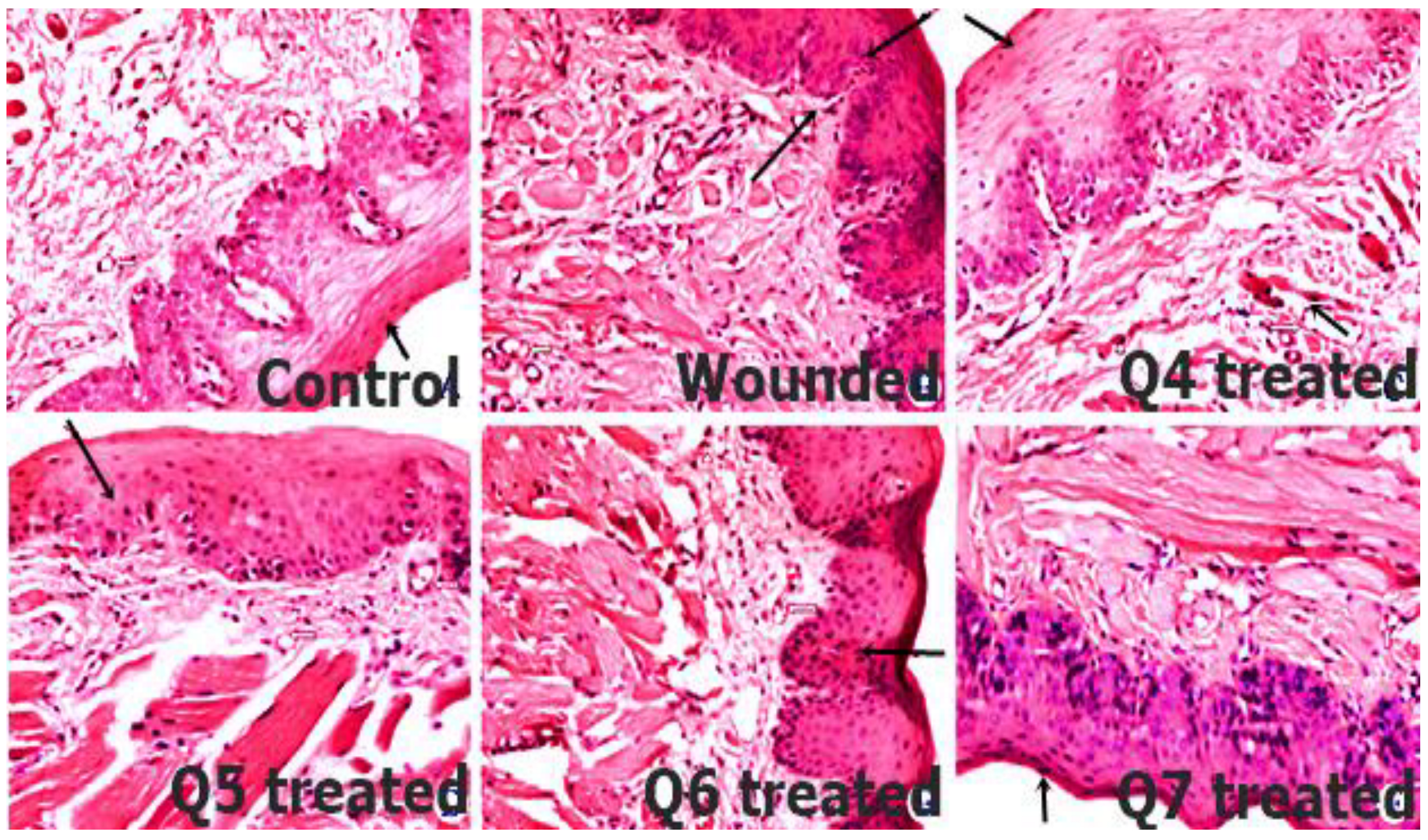 Pharmaceutics 14 00807 g010