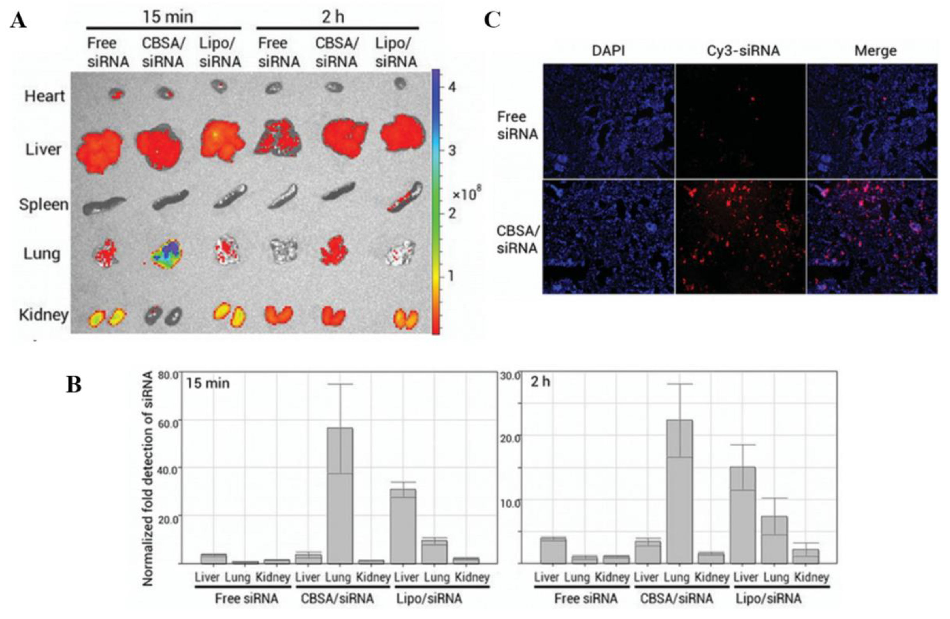 Pharmaceutics 14 00813 g008