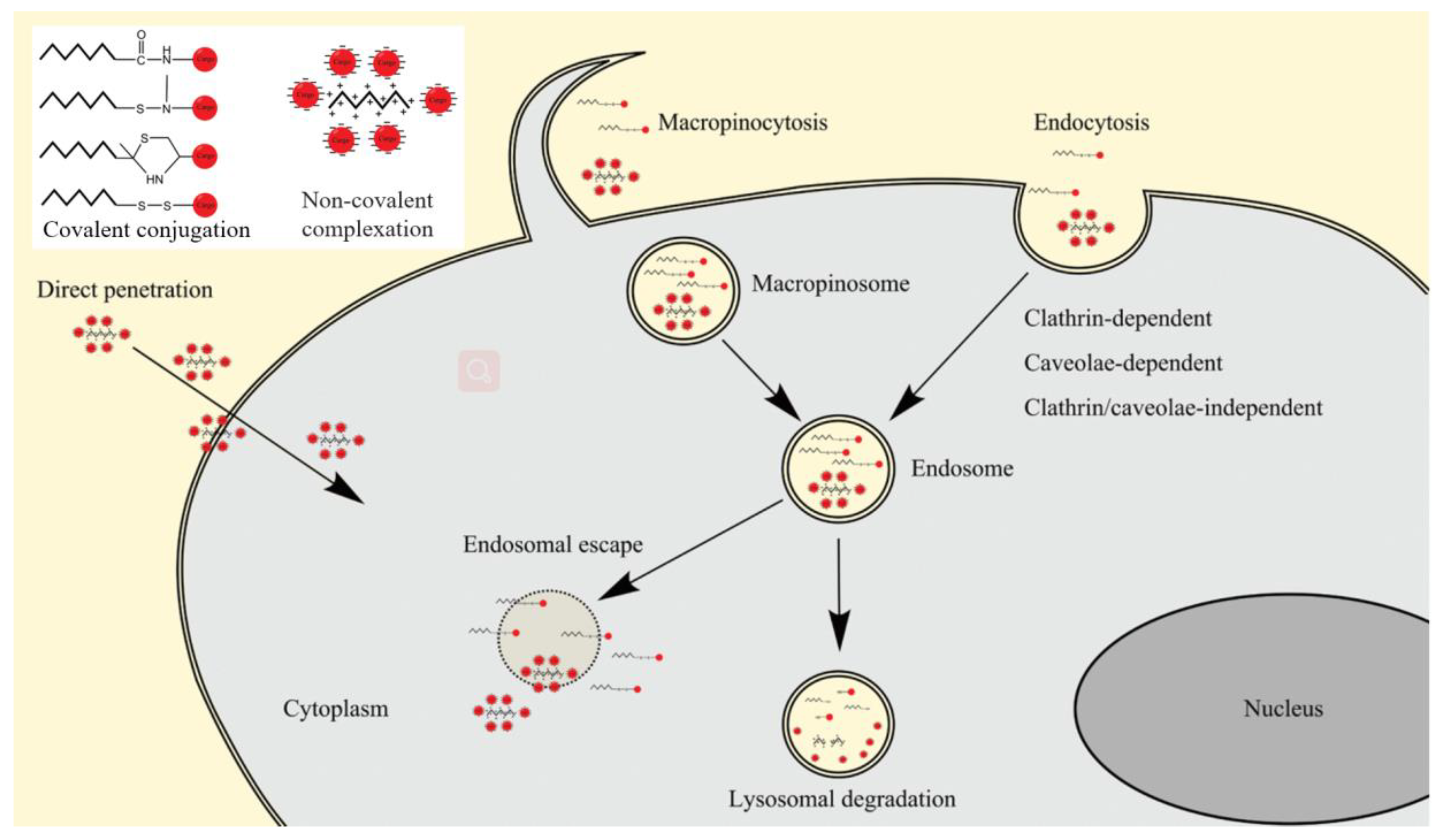 Pharmaceutics 14 00813 g009
